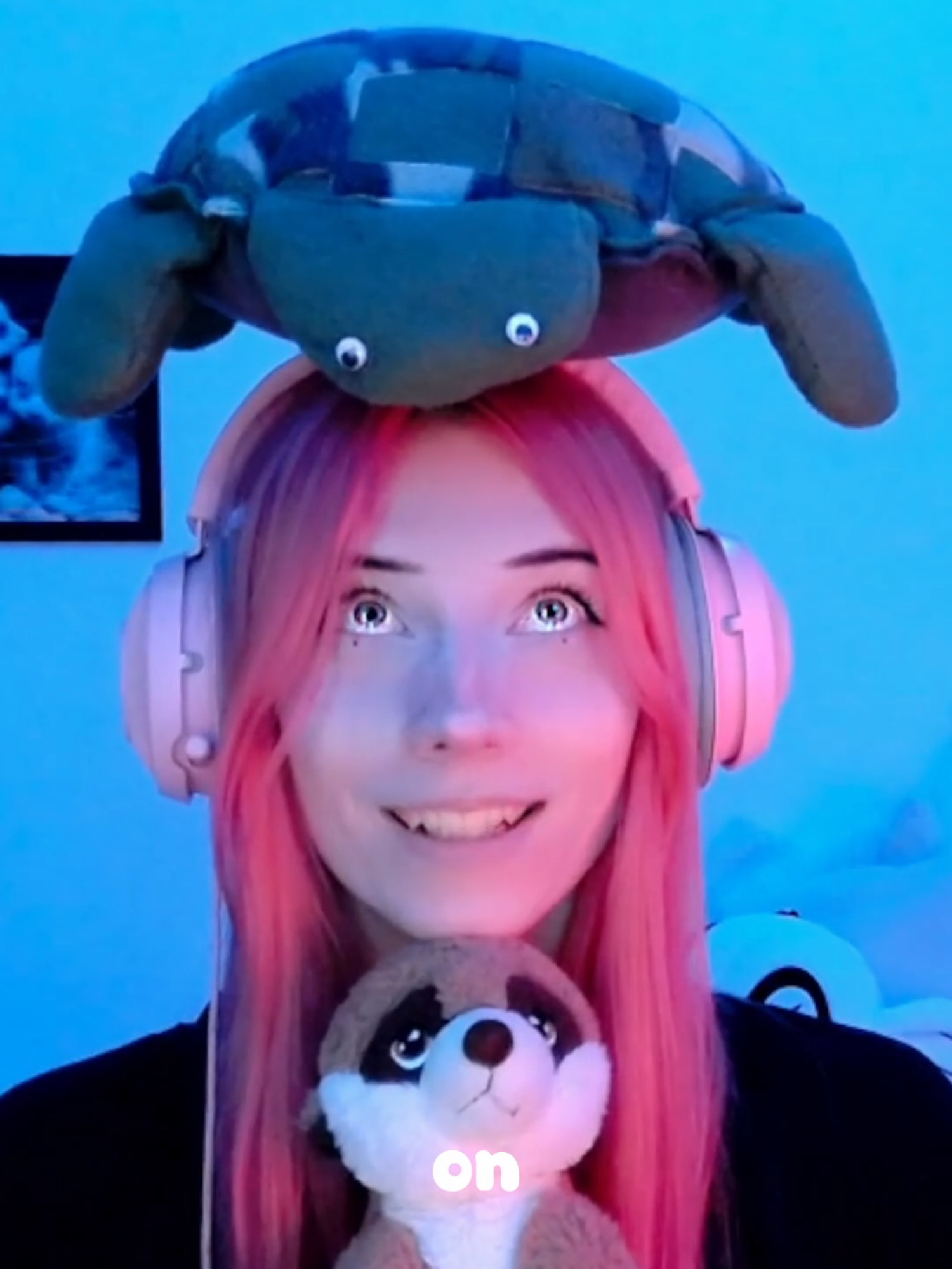 @Meerkat