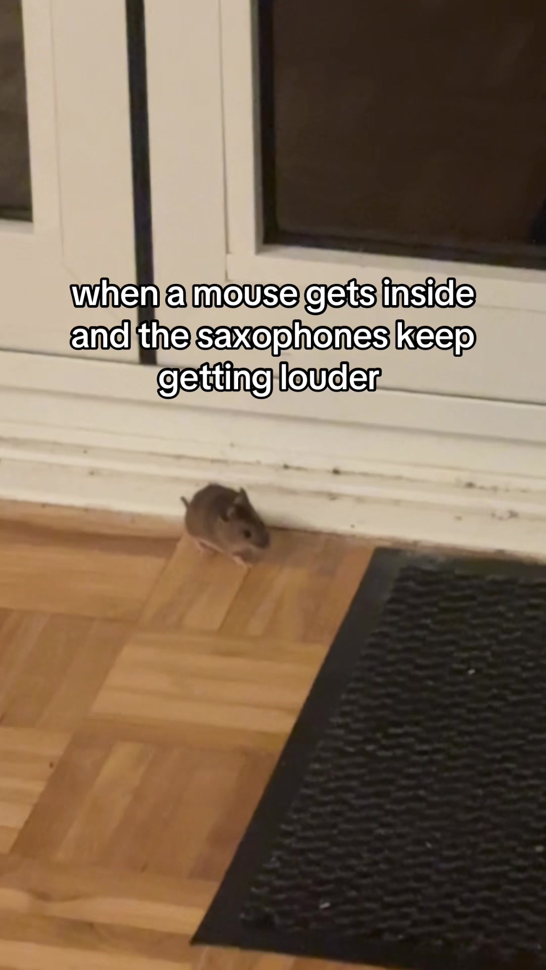 @isa 🤍