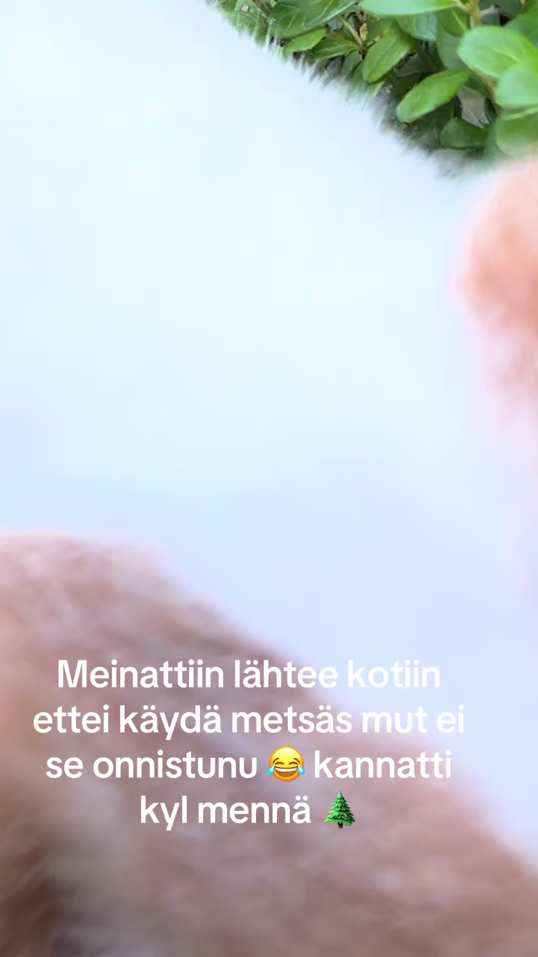 @_TienP&auml;&auml;ll&auml;_