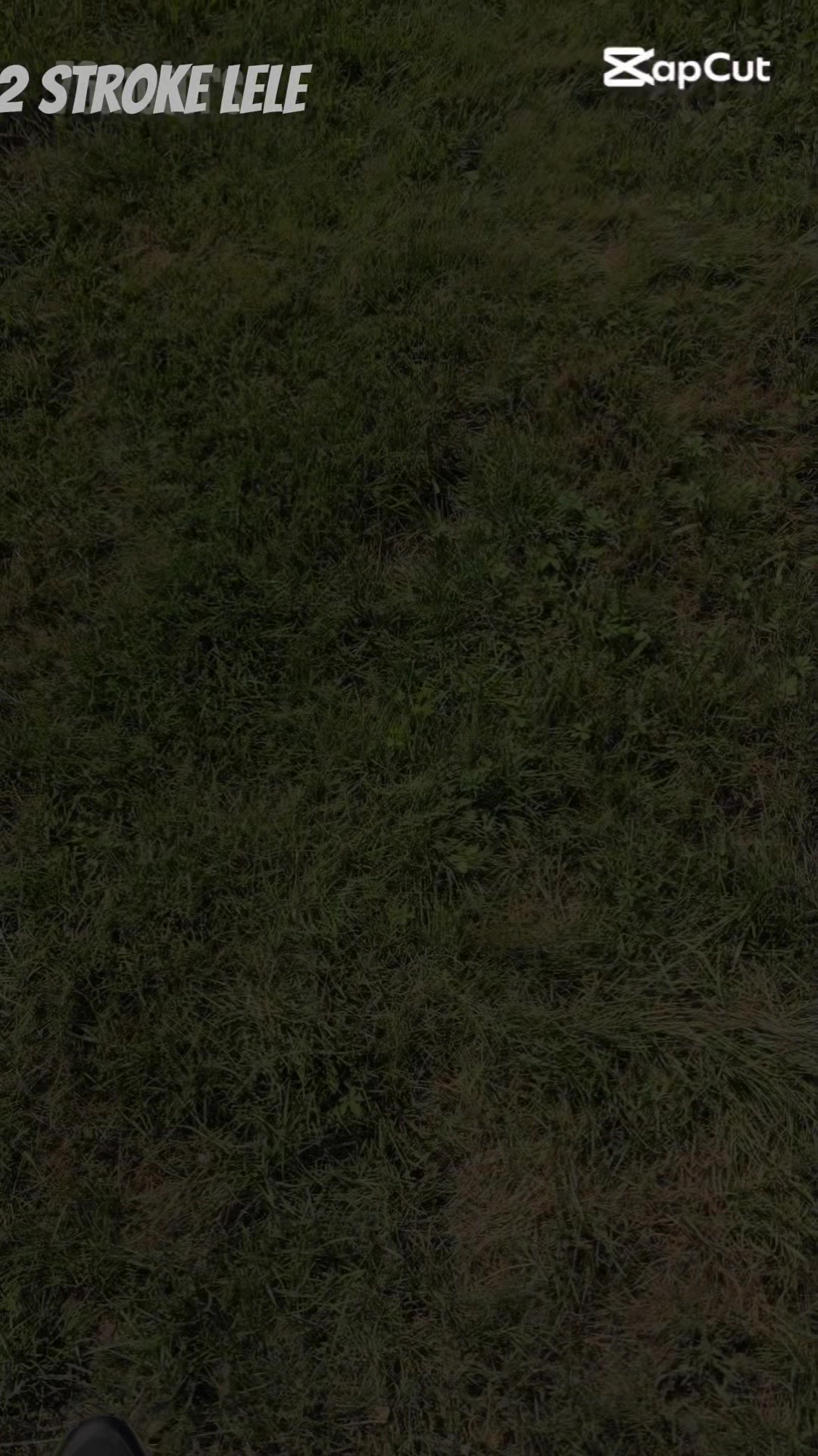 @2 strokeleandro