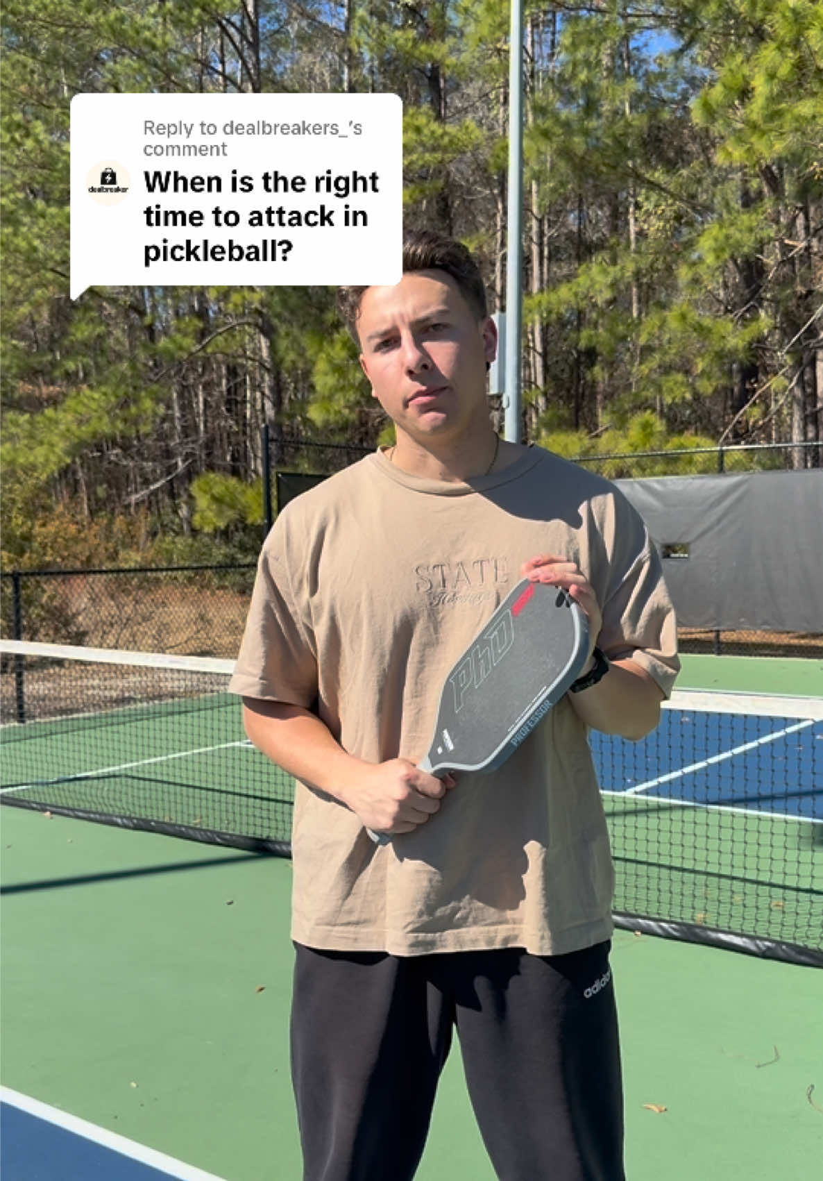 @Professor Pickleball
