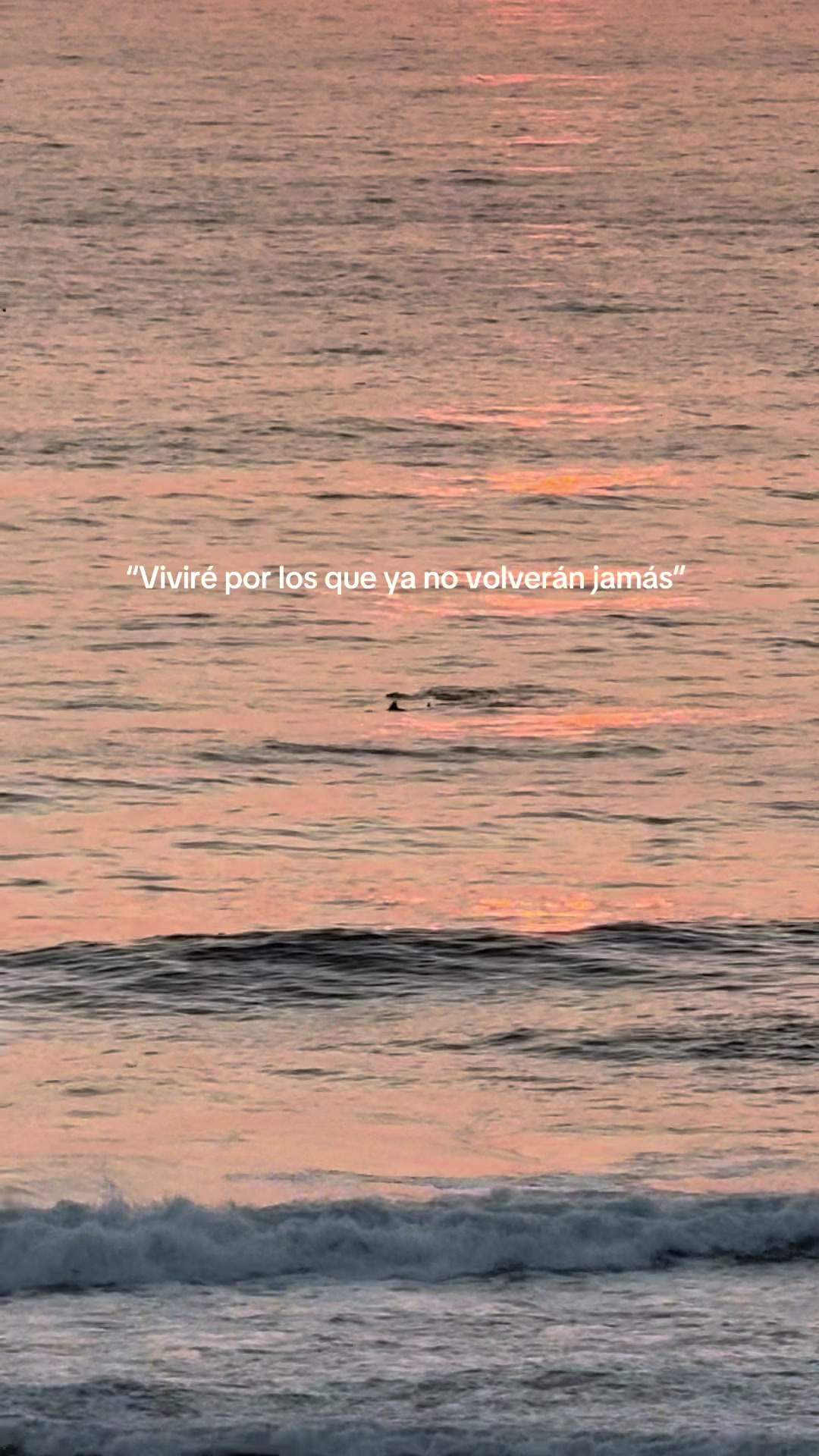 @Loraine