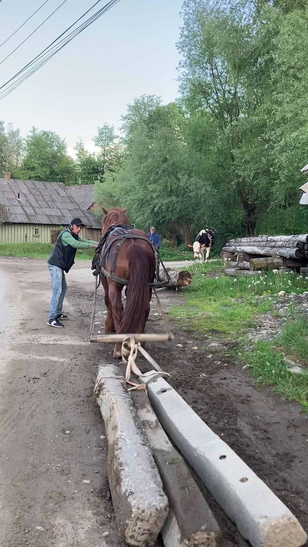 @Andrei B&icirc;rsan