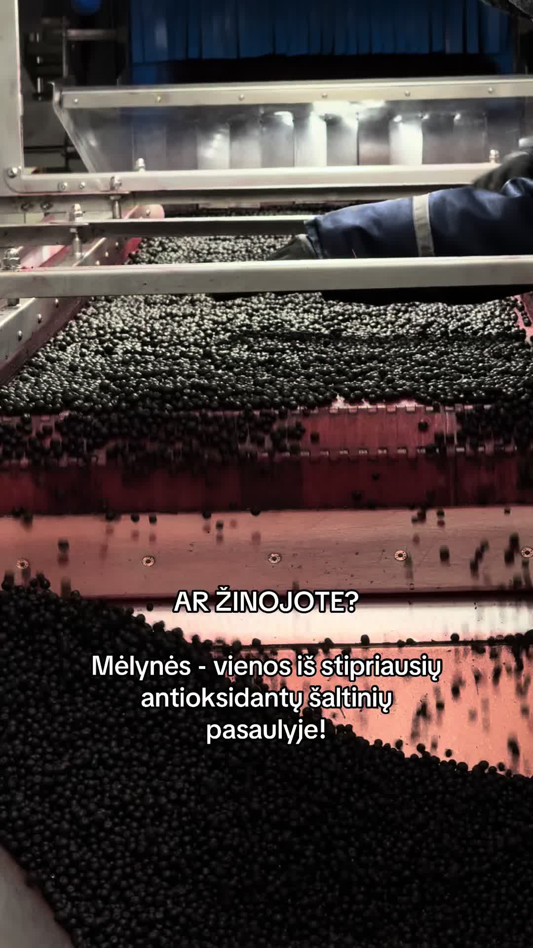 @beribu.eu
