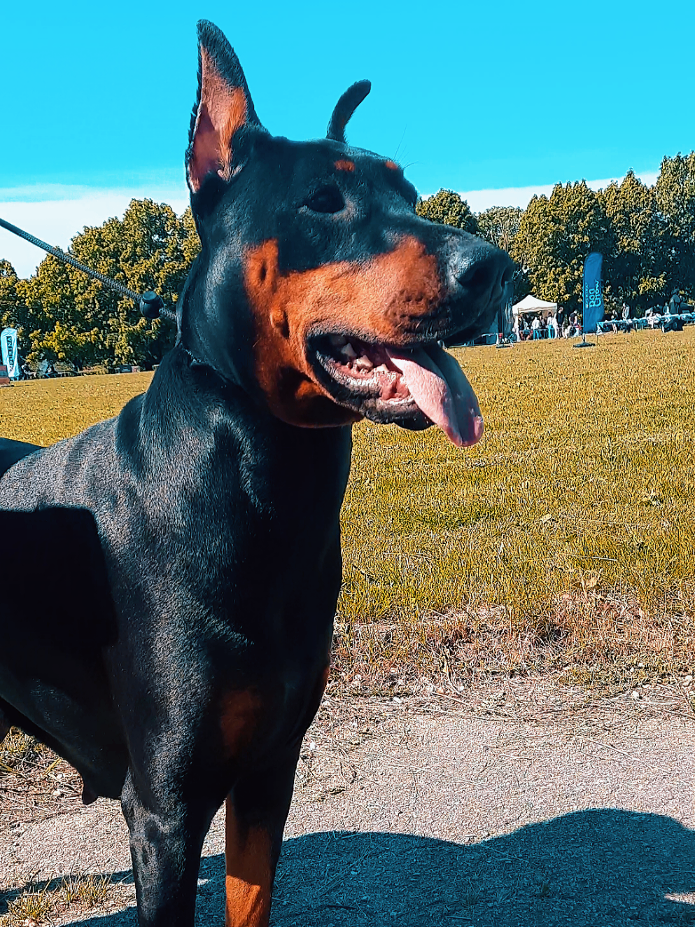 @eni.pets💎