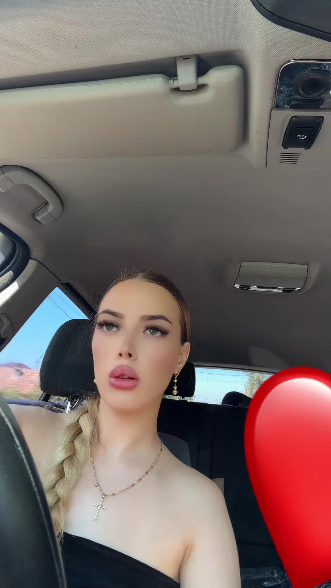 @Larisa AL