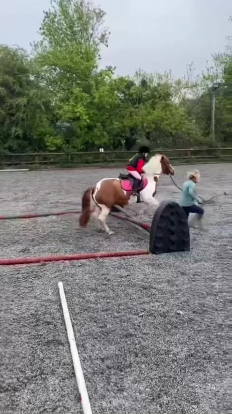 @LottiesHorseAdventures🦄🐴