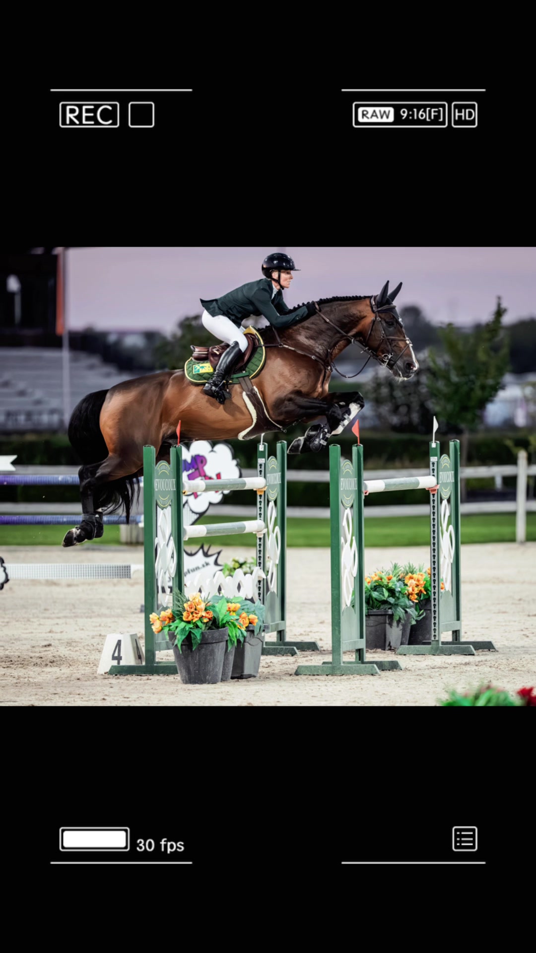 @Lucy Struthers Horses