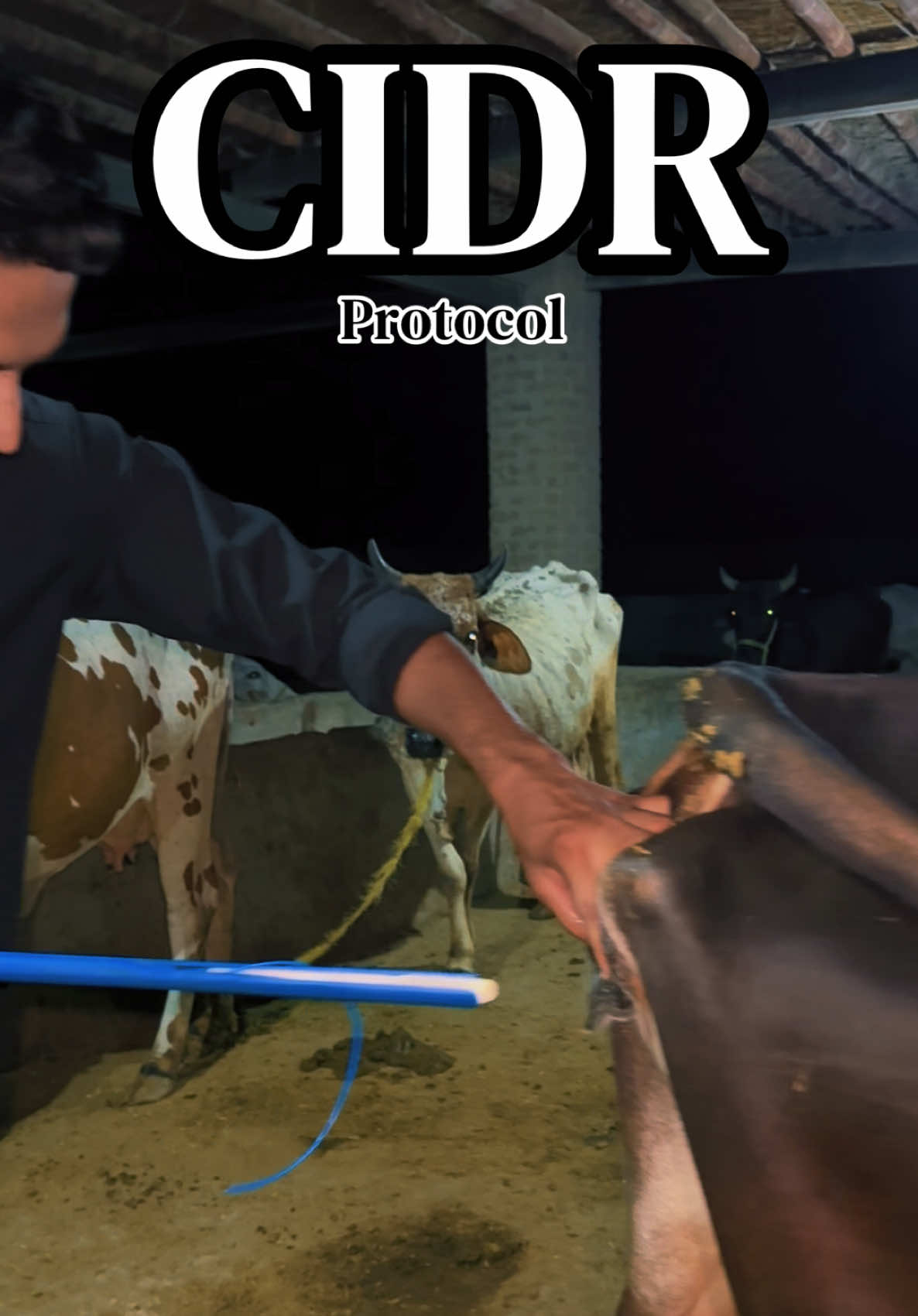 @𝐃𝐨𝐜𝐭𝐨𝐫 𝐌 𝐇𝐮𝐳𝐚𝐢𝐟𝐚