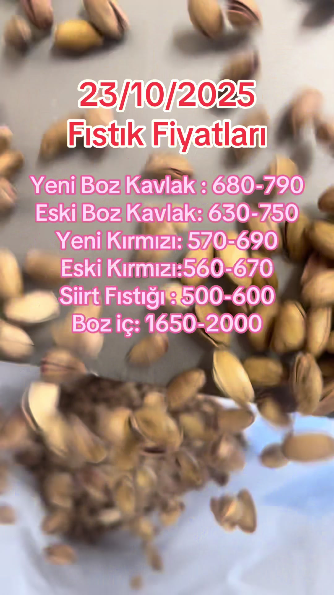 @Kocaoğlu Fıstıkçılık