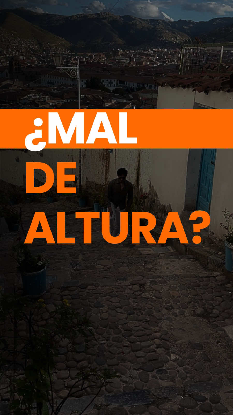 @Llamitas Travel Agency