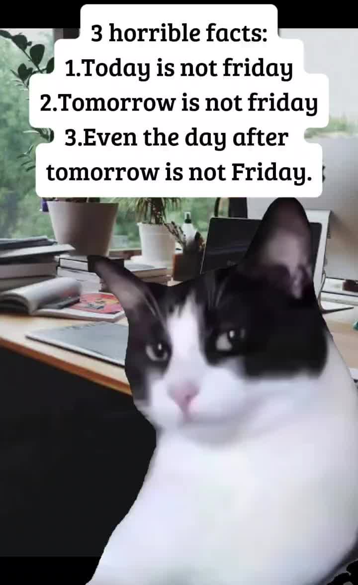 @💋💋💋 V 💋💋💋