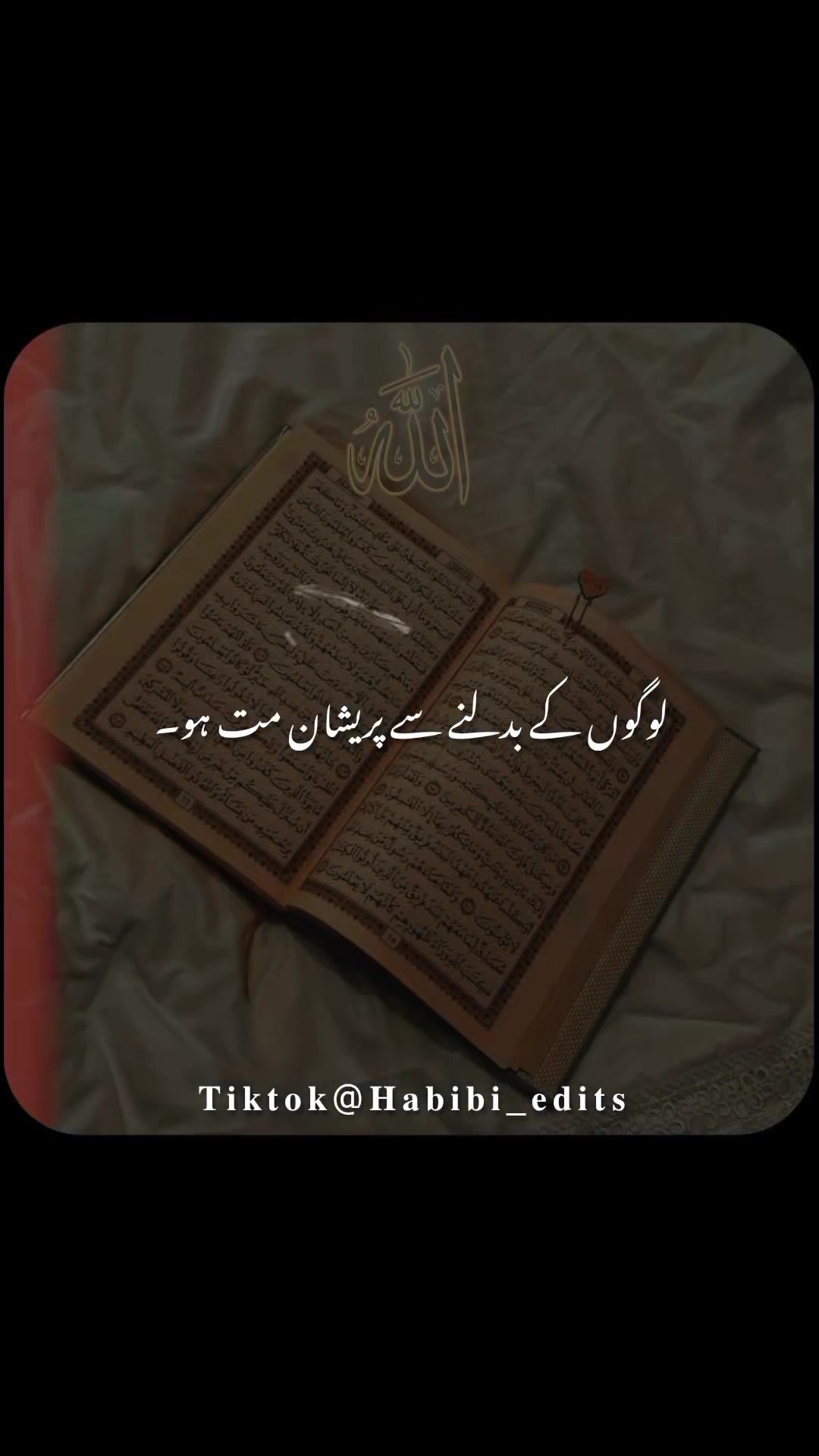 @𝐇𝐚𝐛𝐢𝐛𝐢 𝐞𝐝𝐢𝐭𝐬🌸
