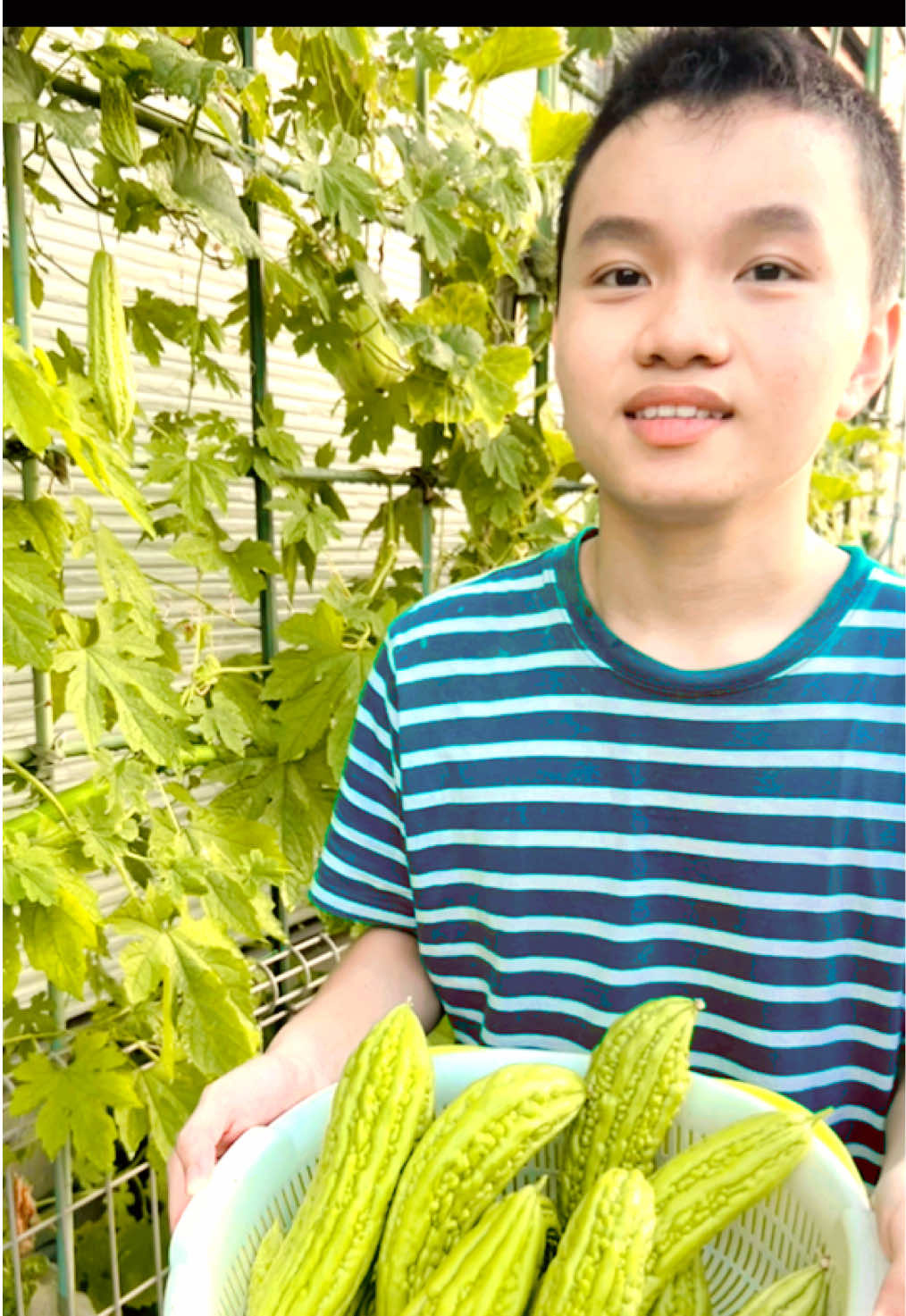 @nguyen thequan
