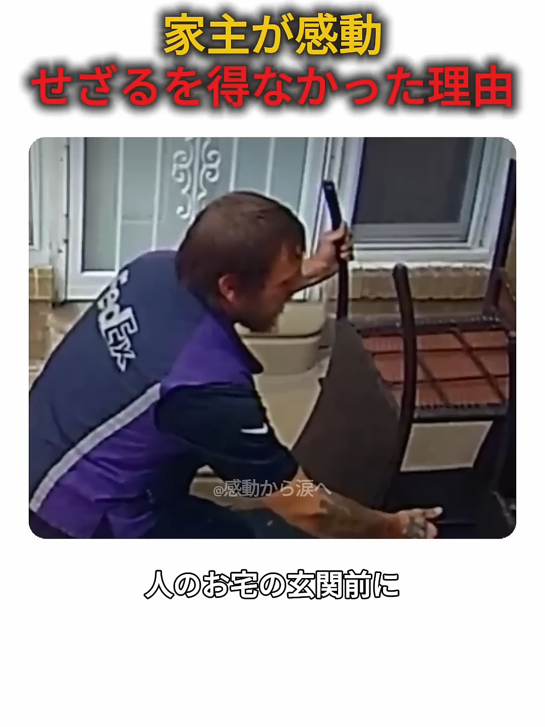 @5qpjptro
