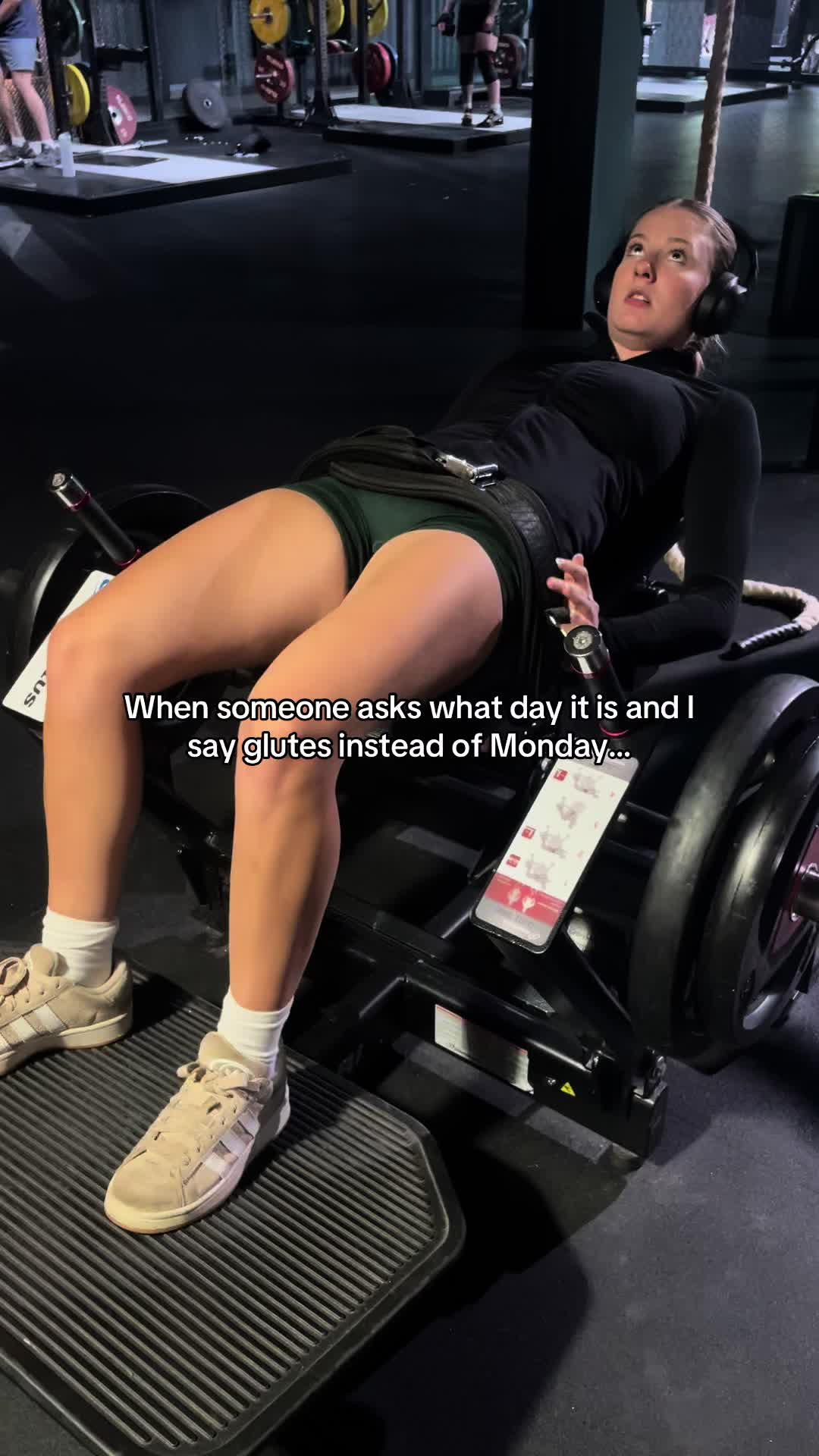 @sanchbulks