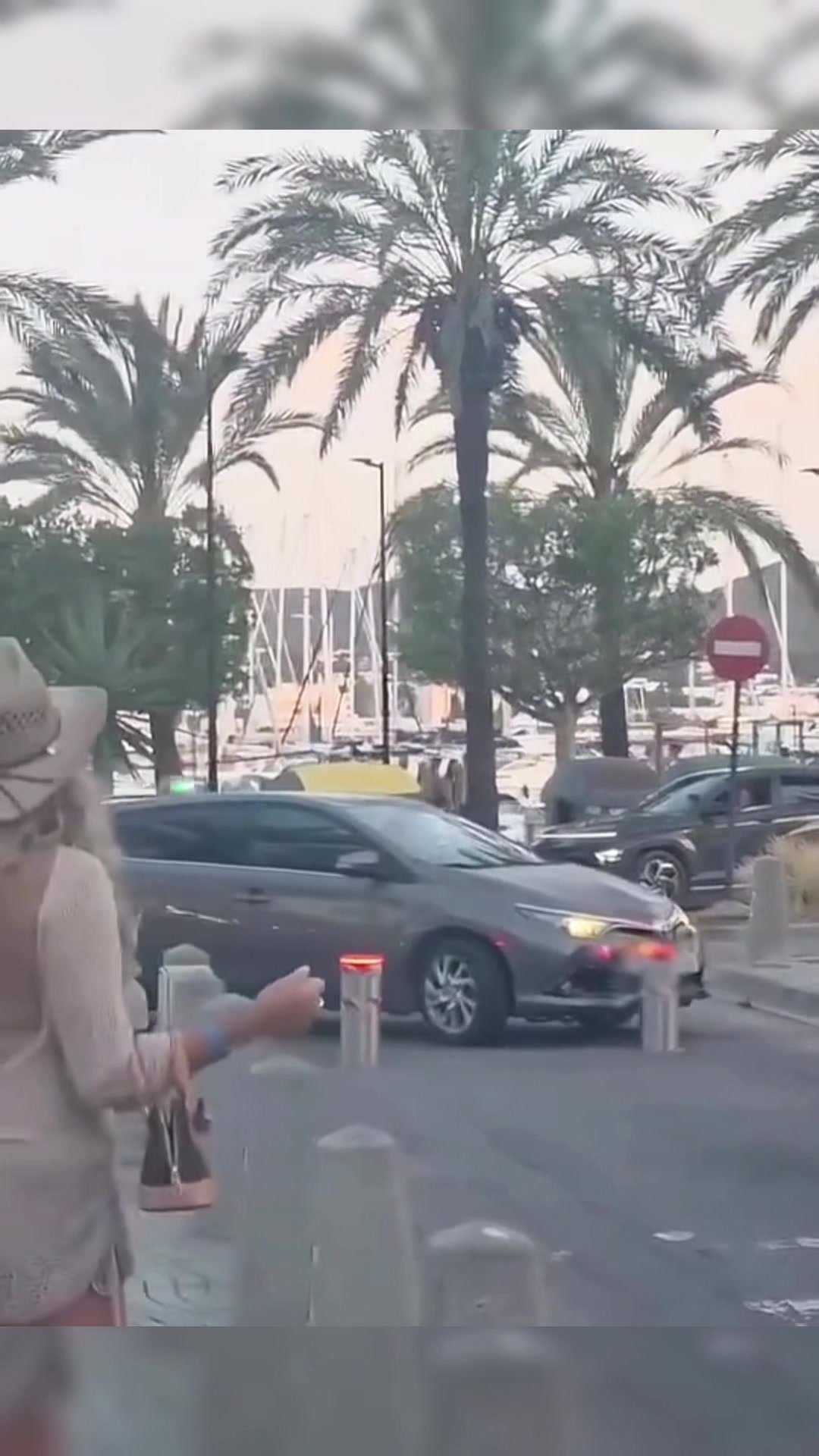 @ibizahq