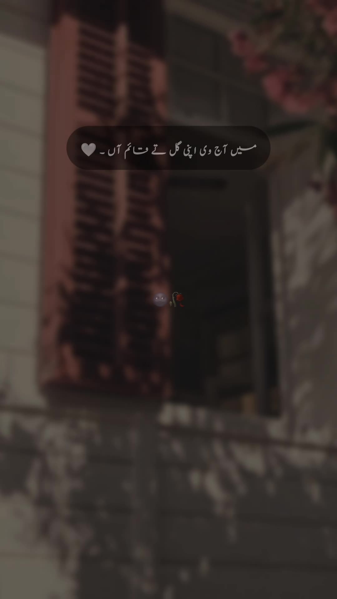 @𝐒 𝐚 𝐌 𝐢 🍂🫀