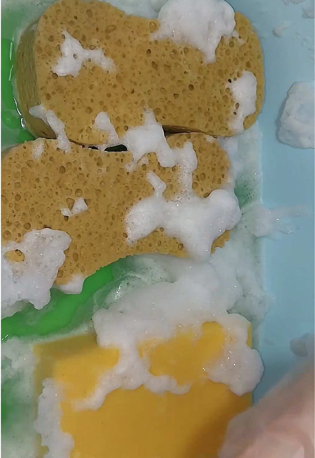 @HD Spongetok