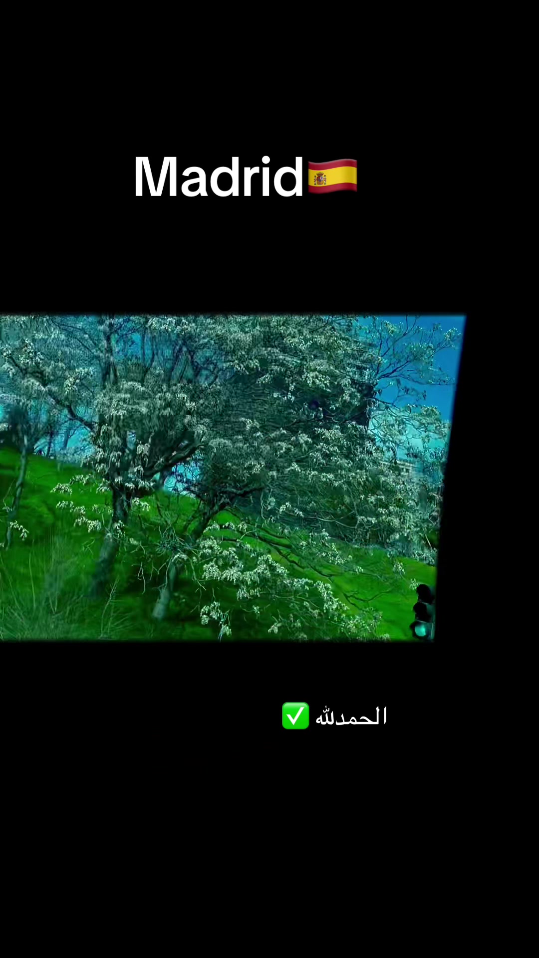 @مسليم