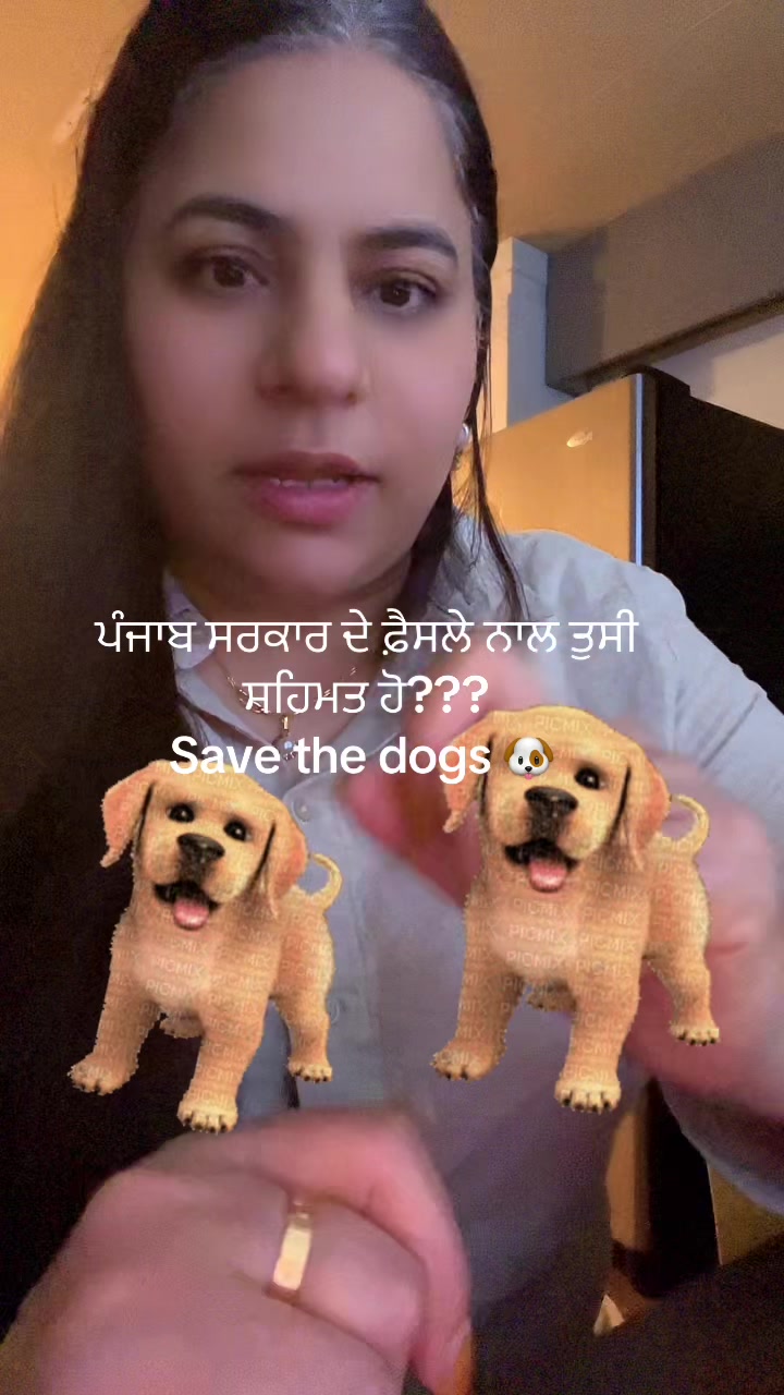 @ਪੰਜਾਬ ਪੰਜਾਬੀਅਤ ਜ਼ਿੰਦਾਬਾਦ 🤟