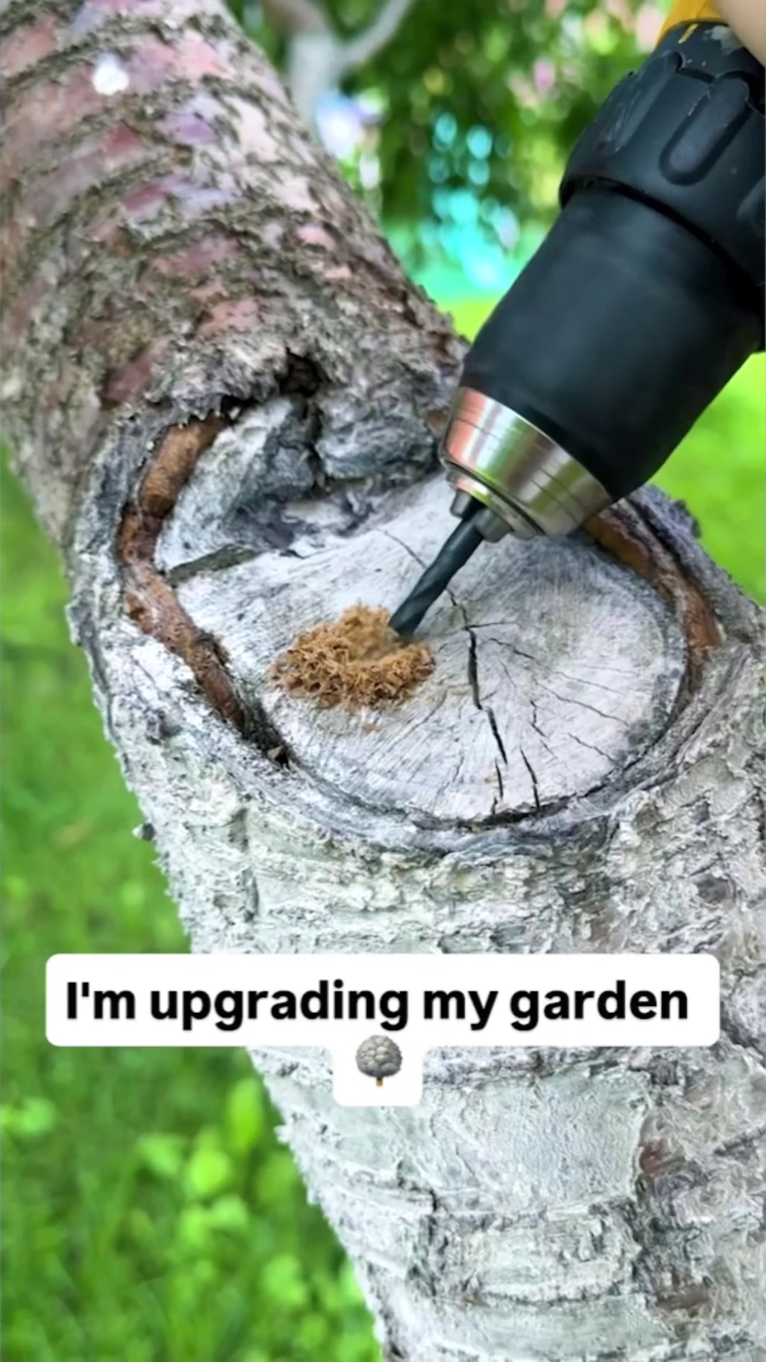 @5-Year Crafts