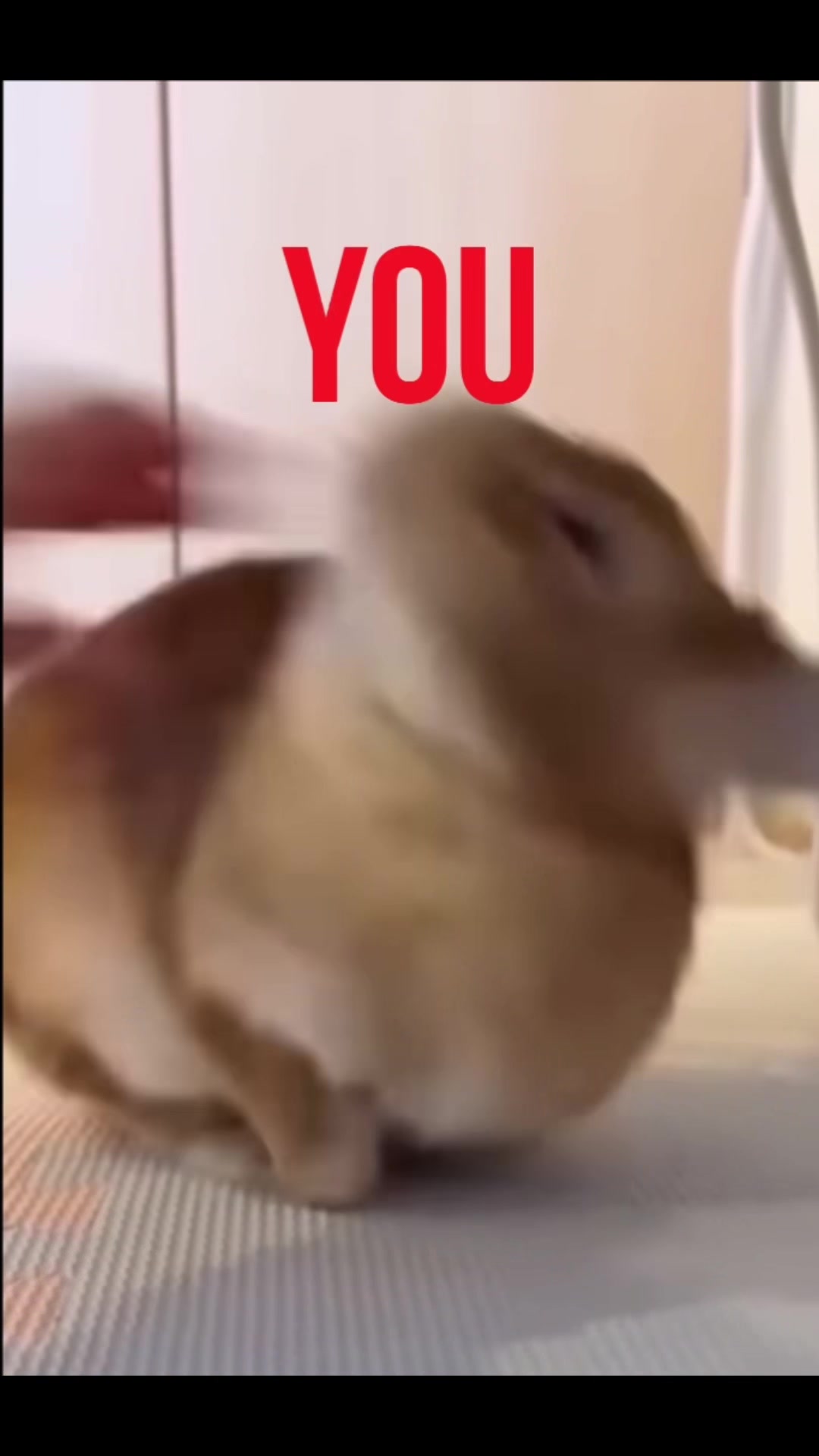 @andri_musiclover