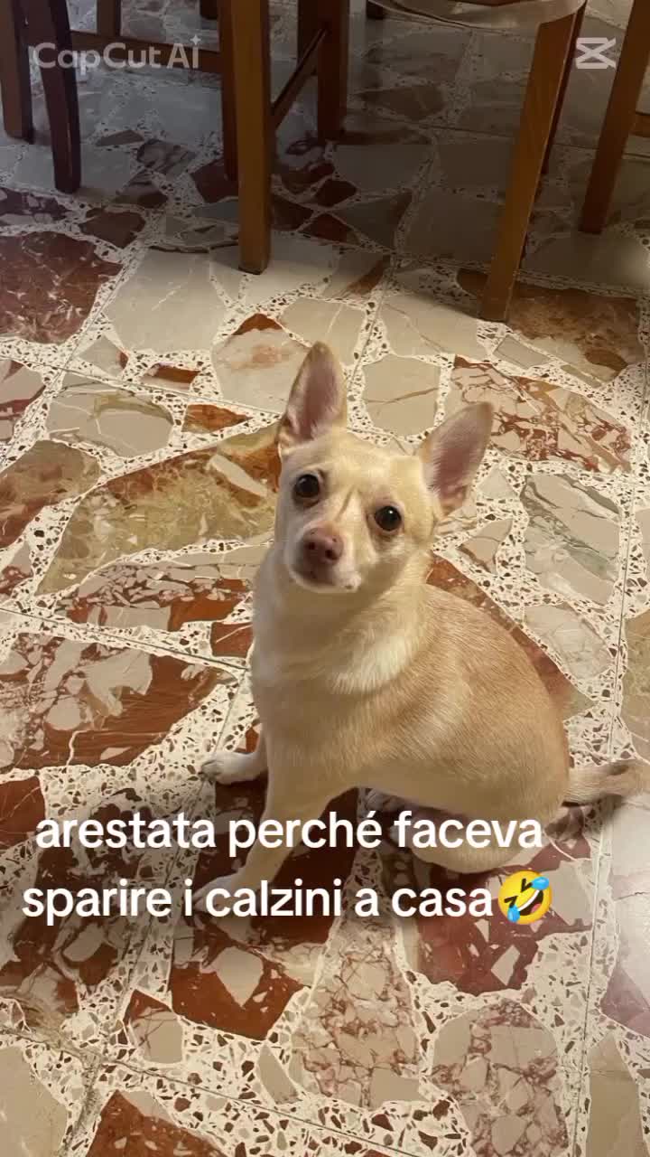 @Maria Agata