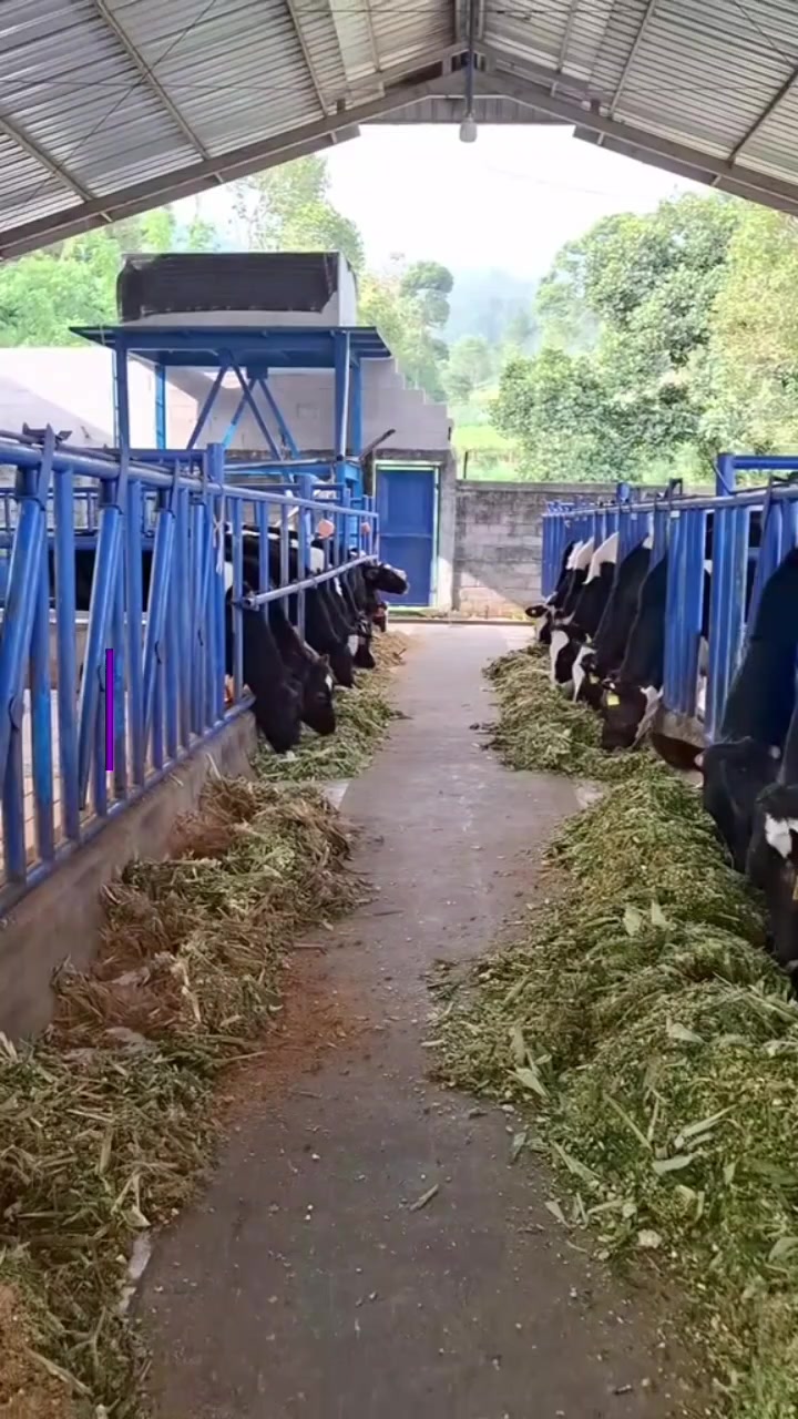 @ADAM MILK FARM