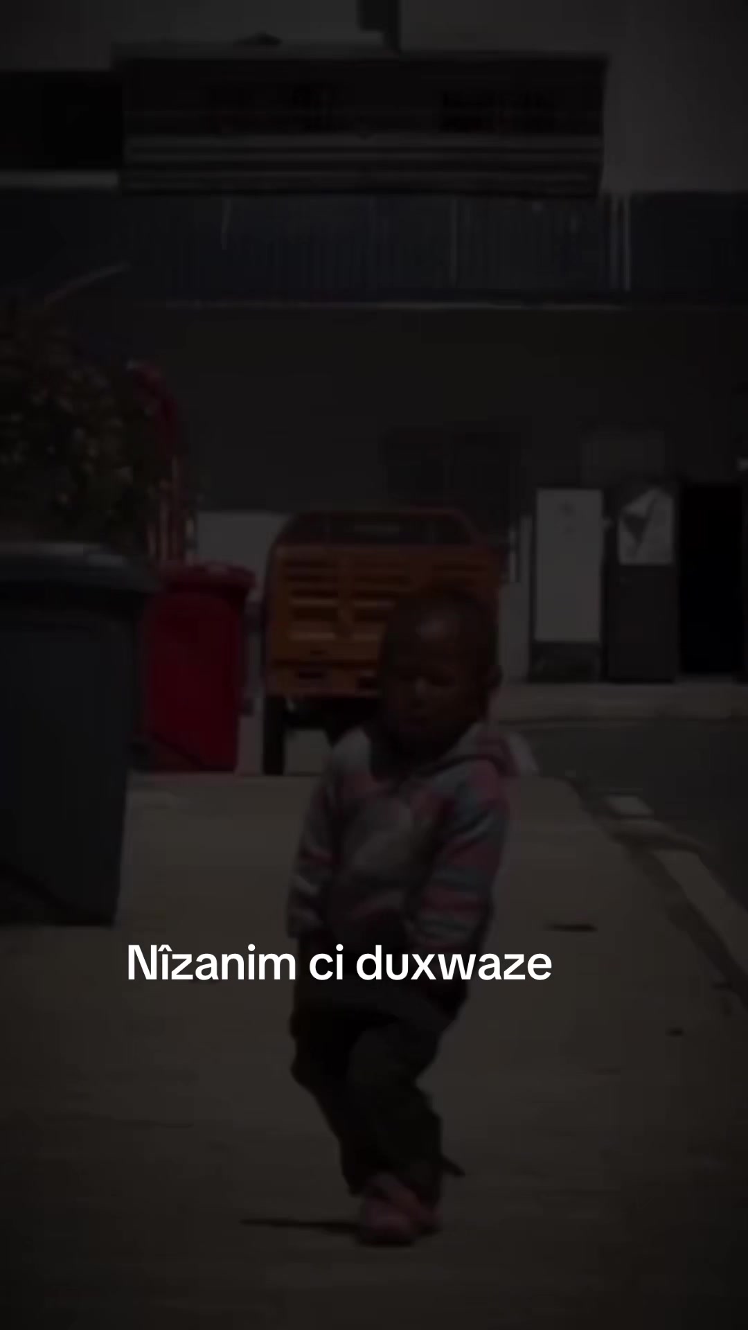 @DİJWAR 🕊️