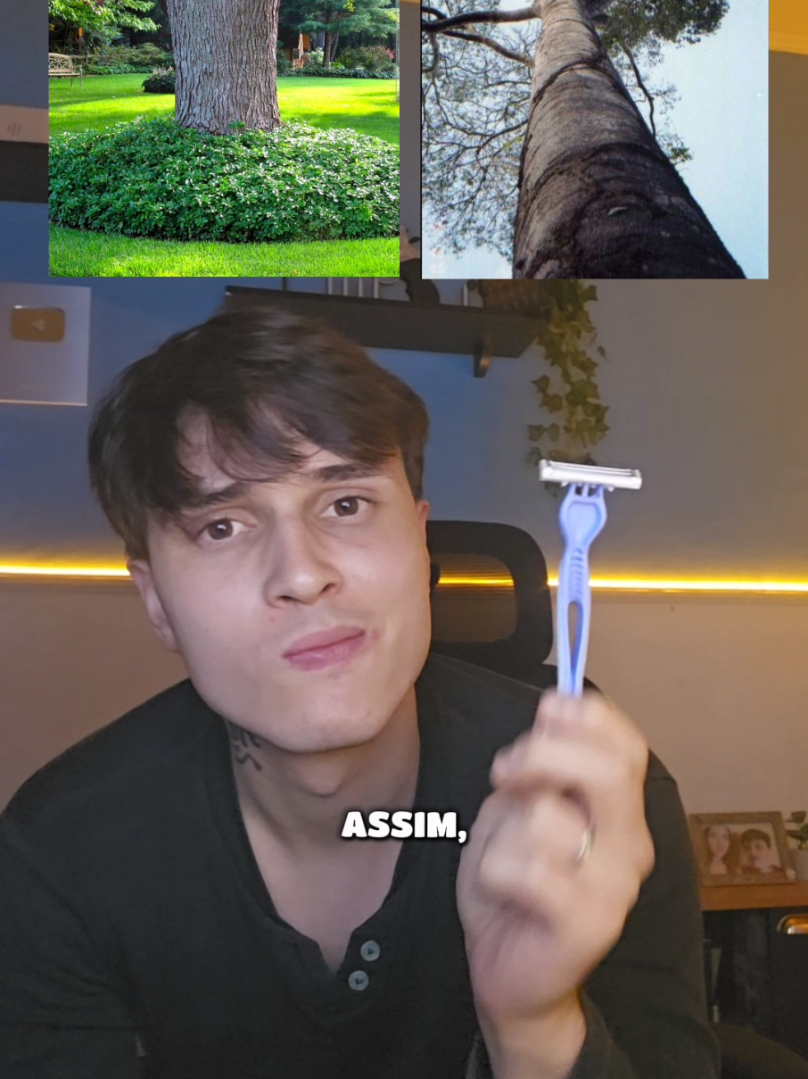 @Dezin