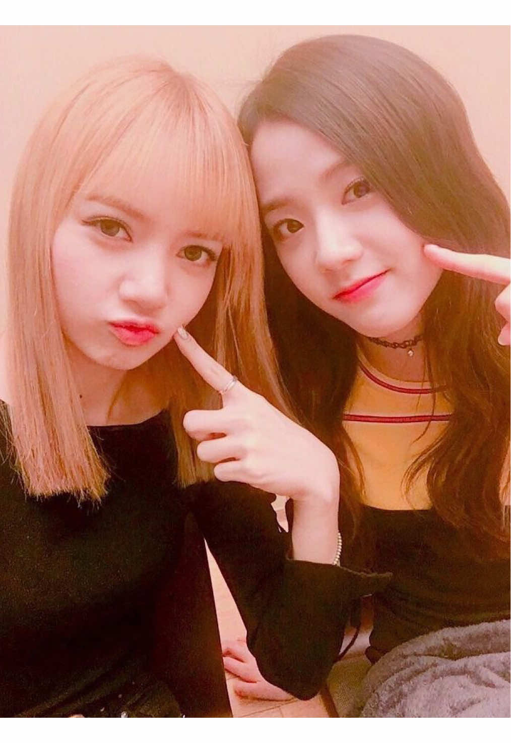 @Koreabase