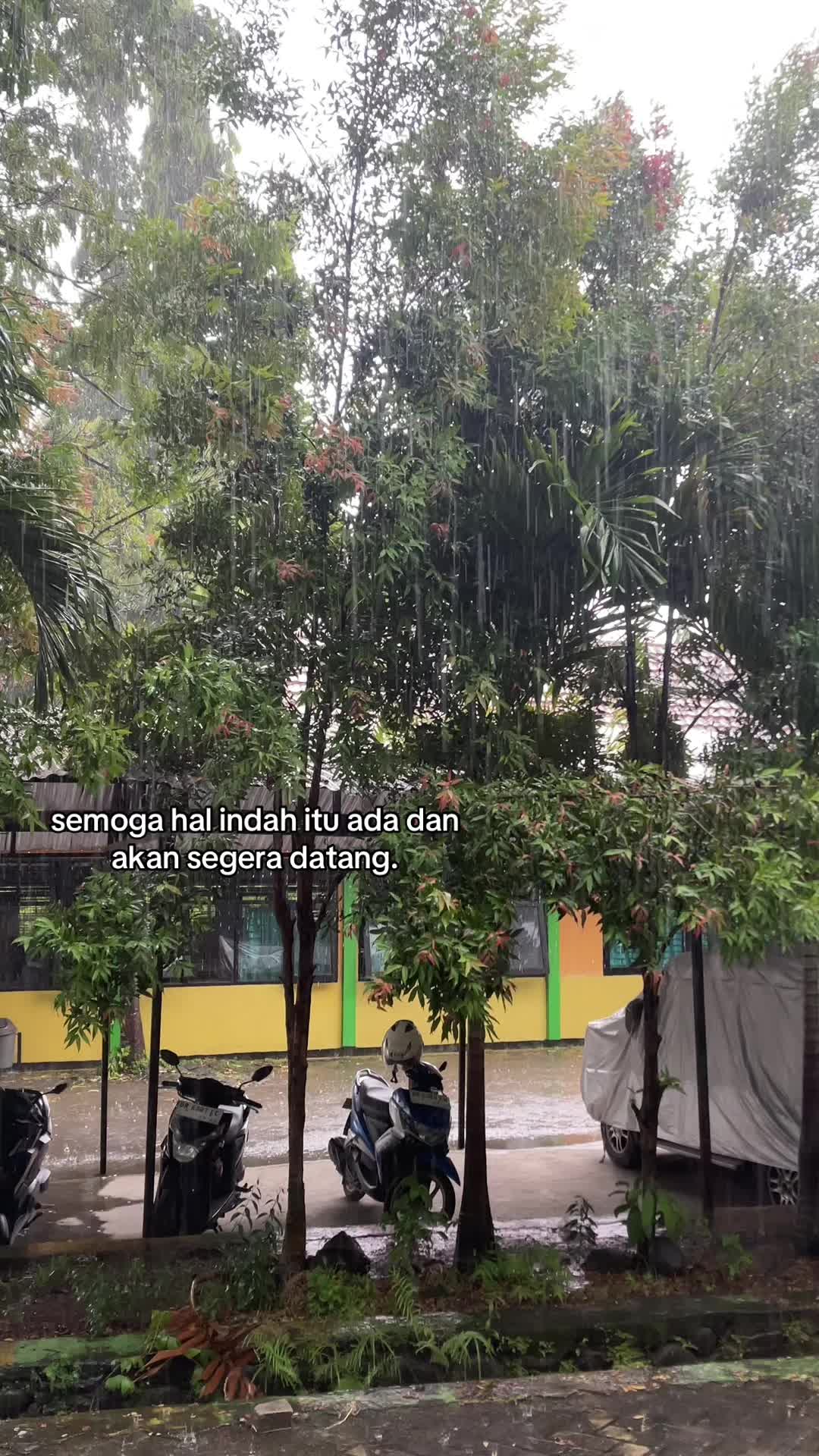 @Wa-One