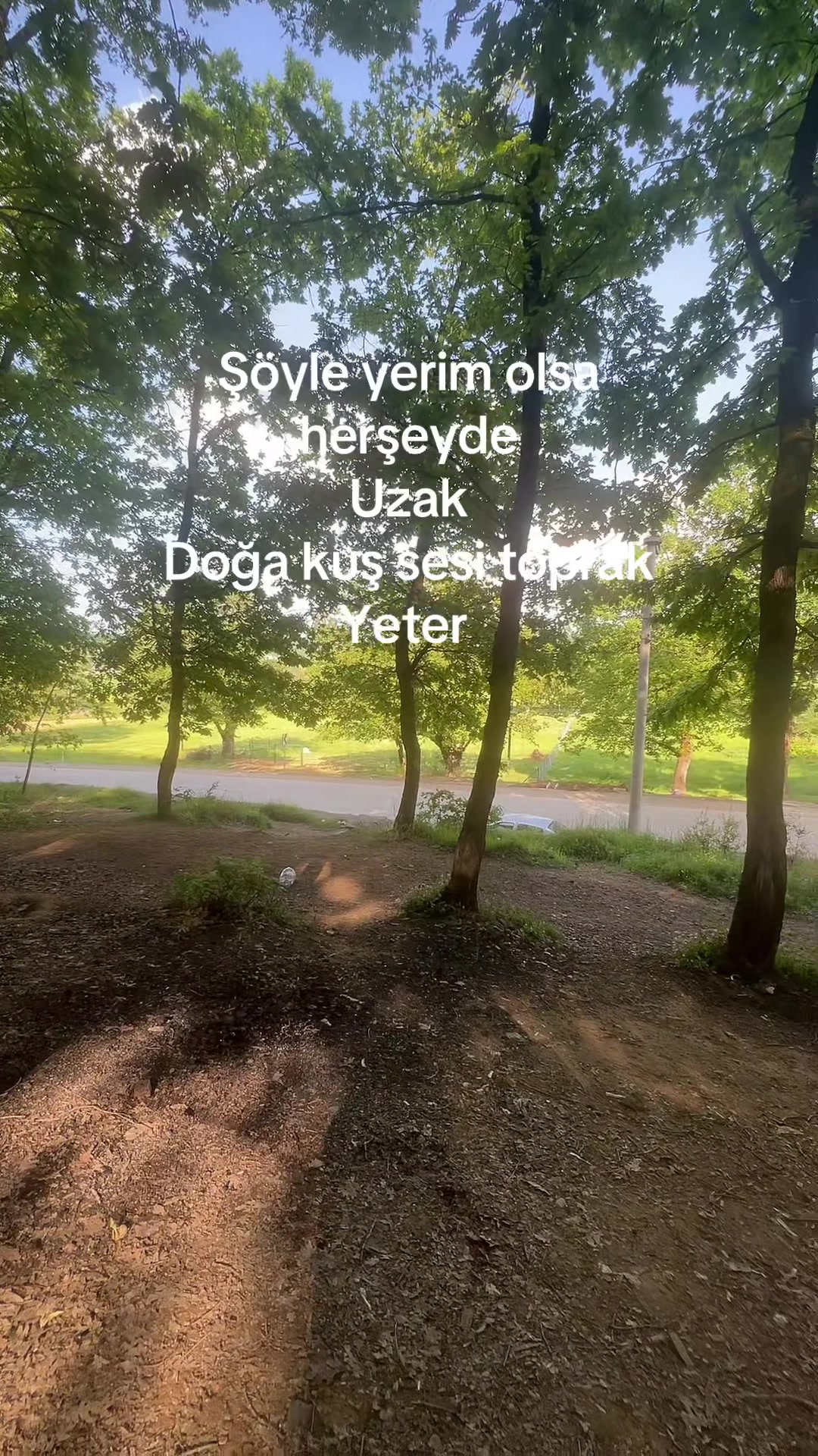 @kurt 34