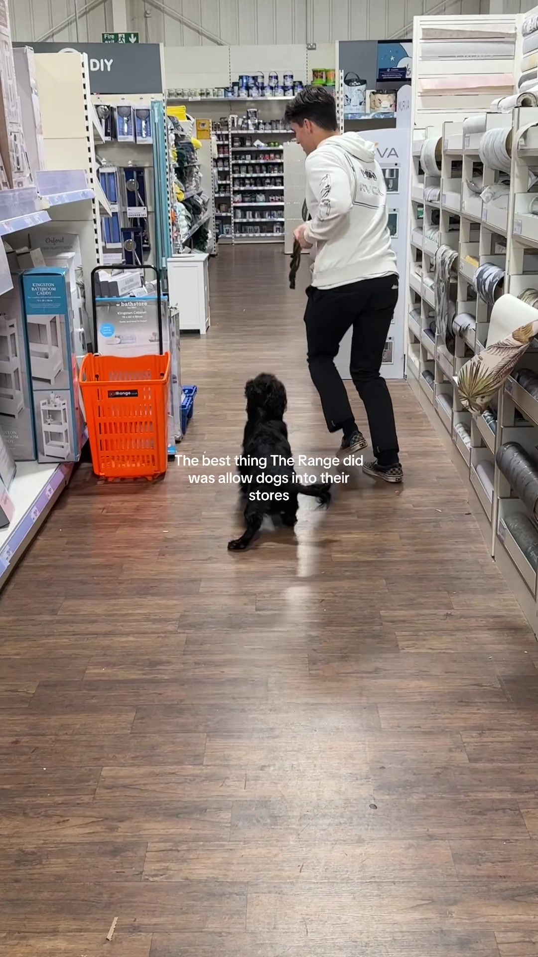 @maggie.moo.cocker
