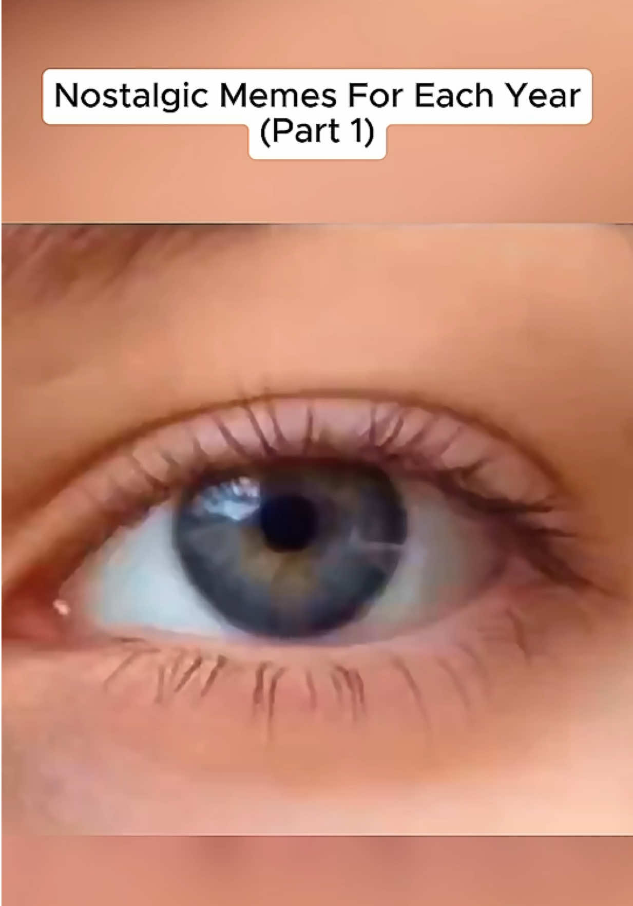@NicheNovaNostalgia