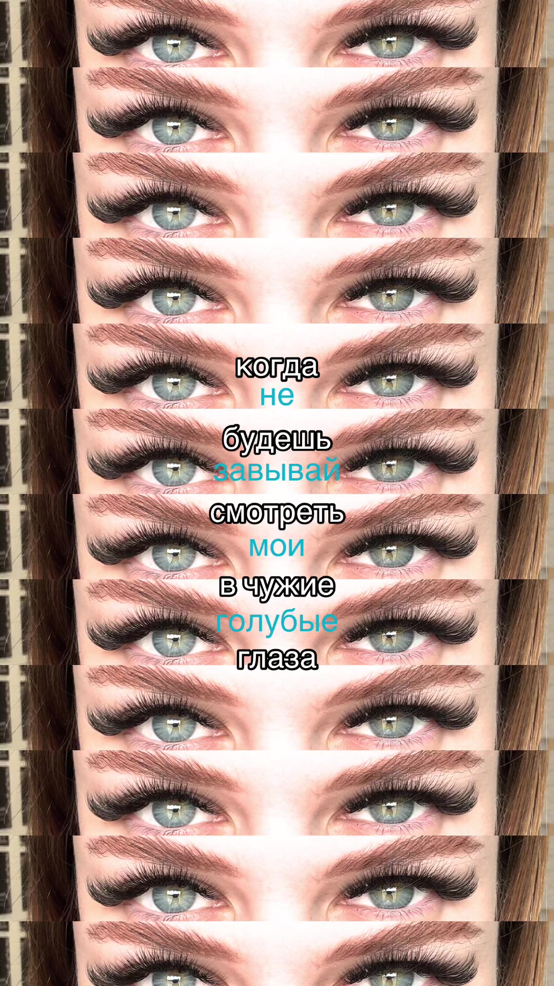 @аришель🦋