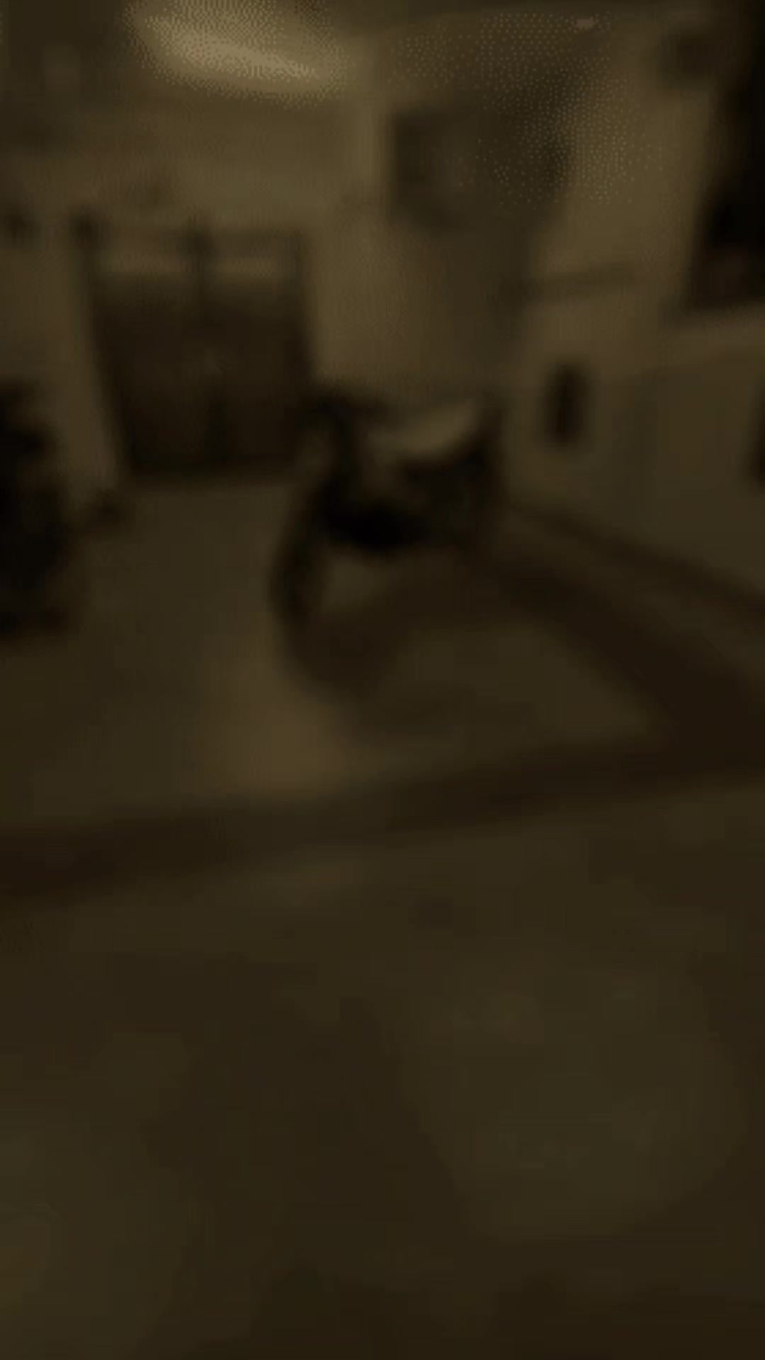 @𝙻𝚊𝚐𝚎𝚗𝚍𝚊𝚈15𝚉𝚁