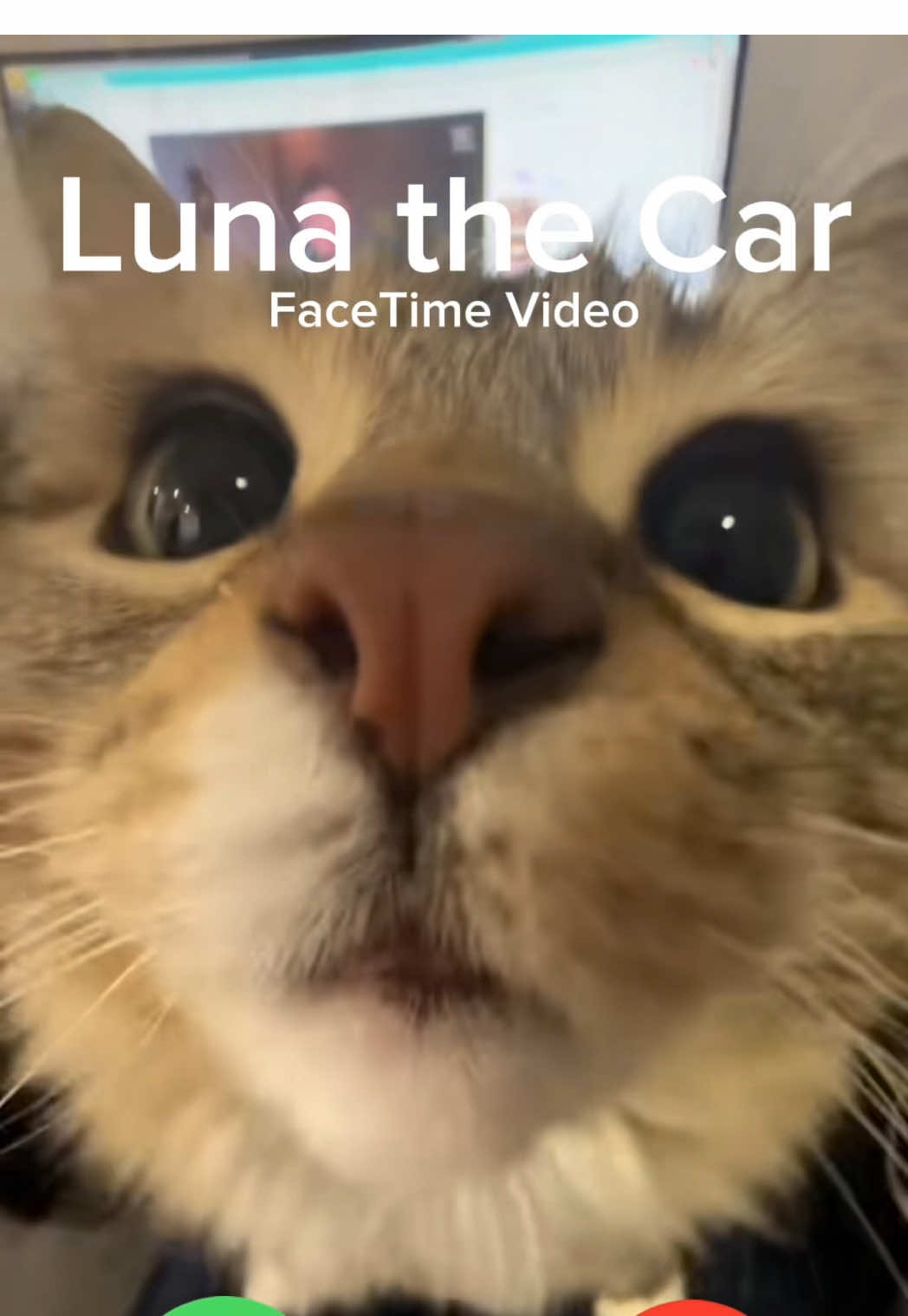 @Lunaistabby