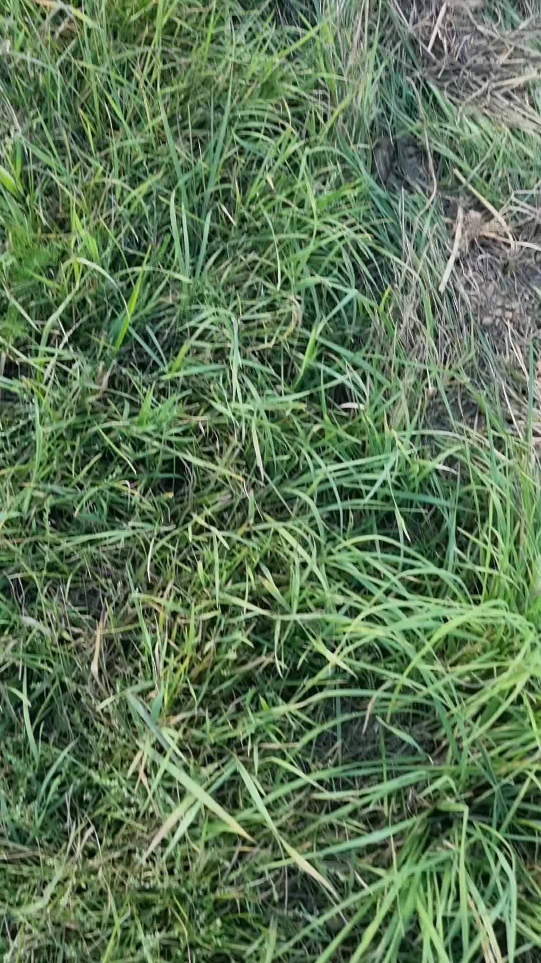 @Lantbruk är livet🚜🤠🌾