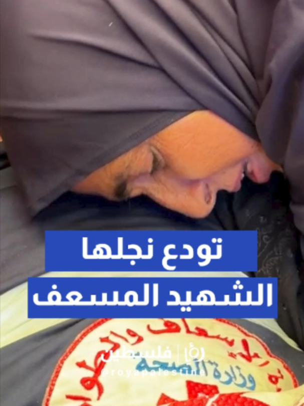 @Royapalestine رؤيا فلسطين