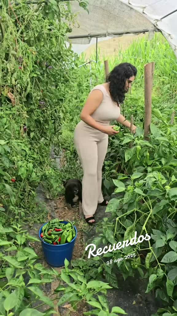 @✨️amina👸🐓