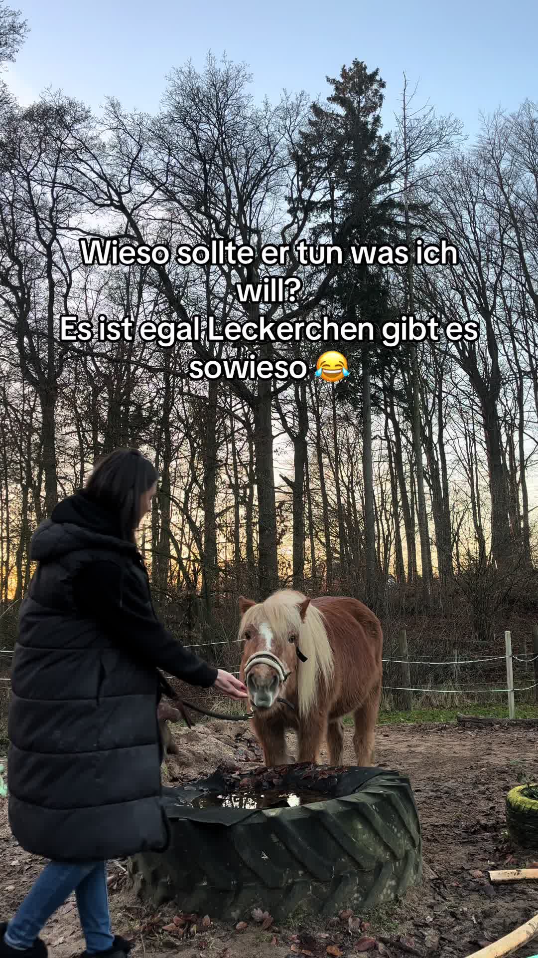 @carinaslifevlog