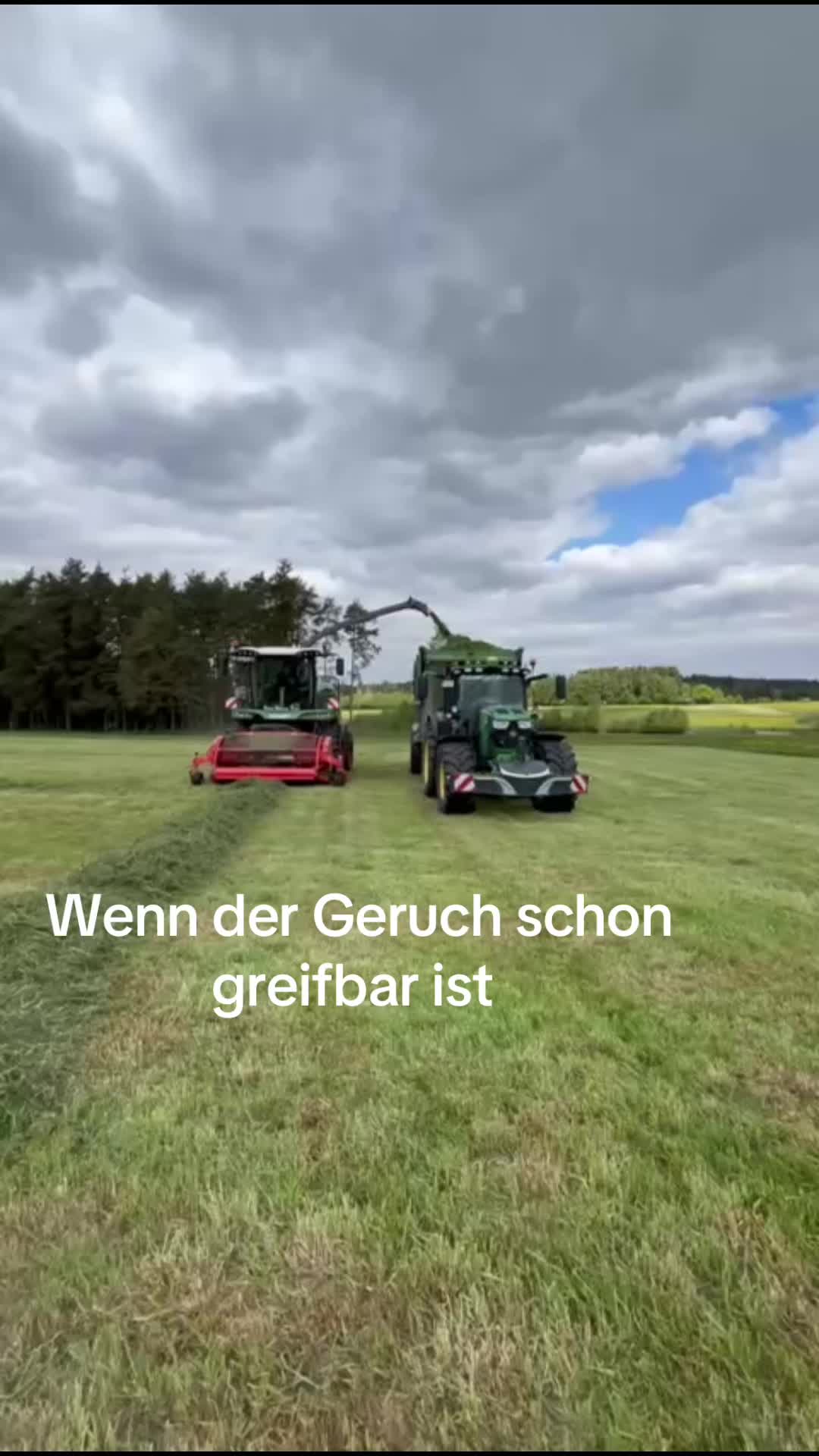 @FG FORST 96