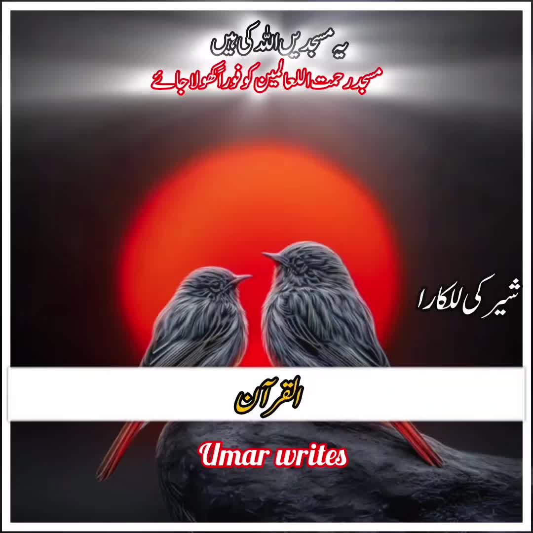 @☝️⭐༄گمنام مجاھد༄⭐💫