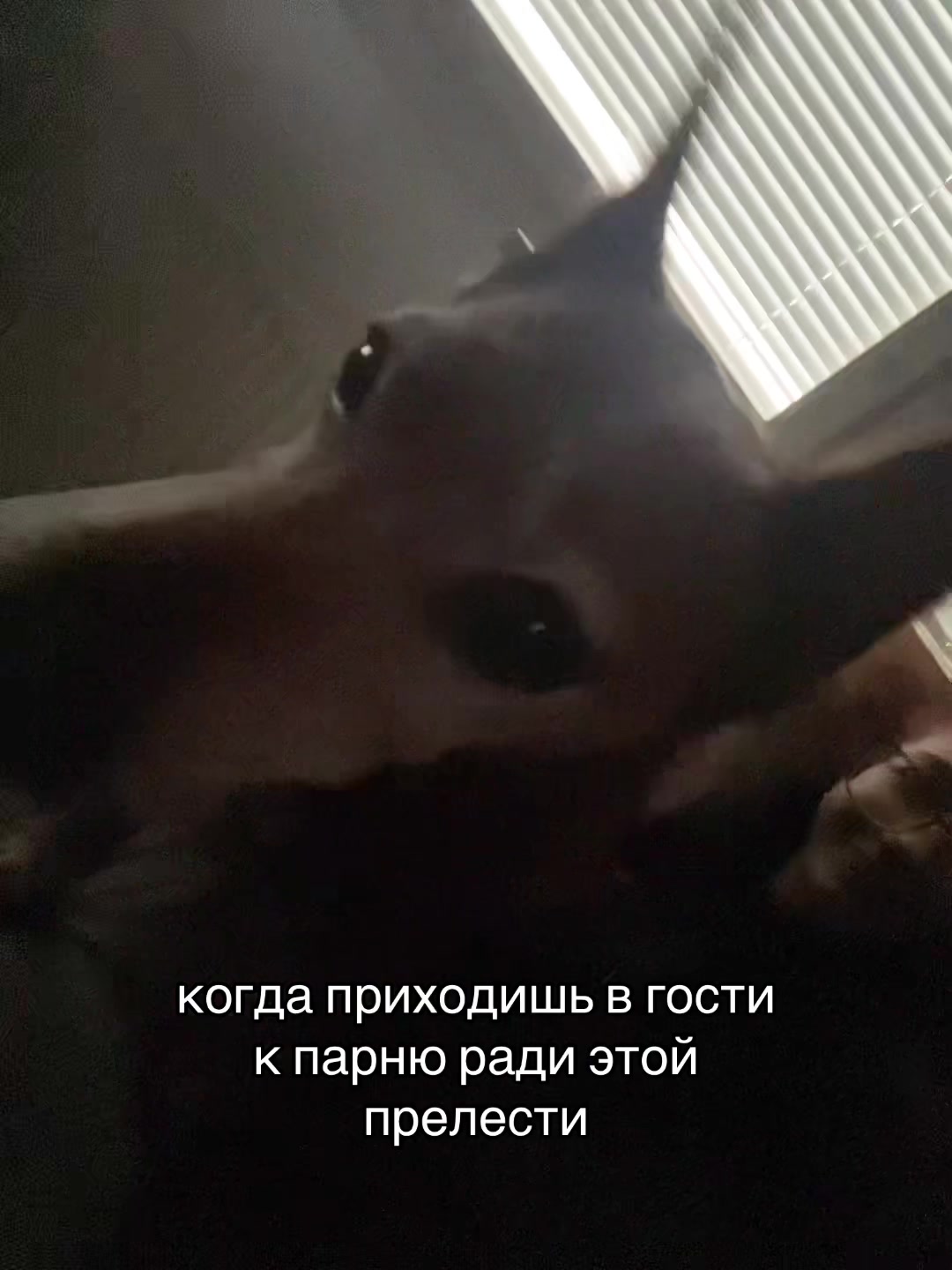 @свяТая