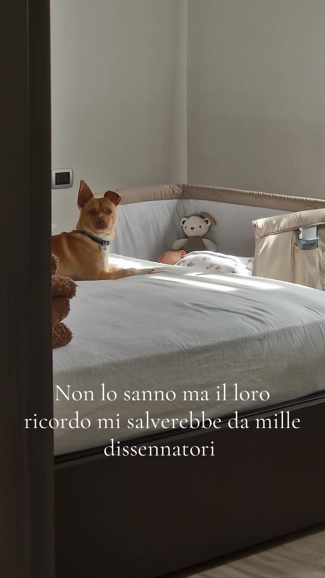 @Veronica Del Vecchio