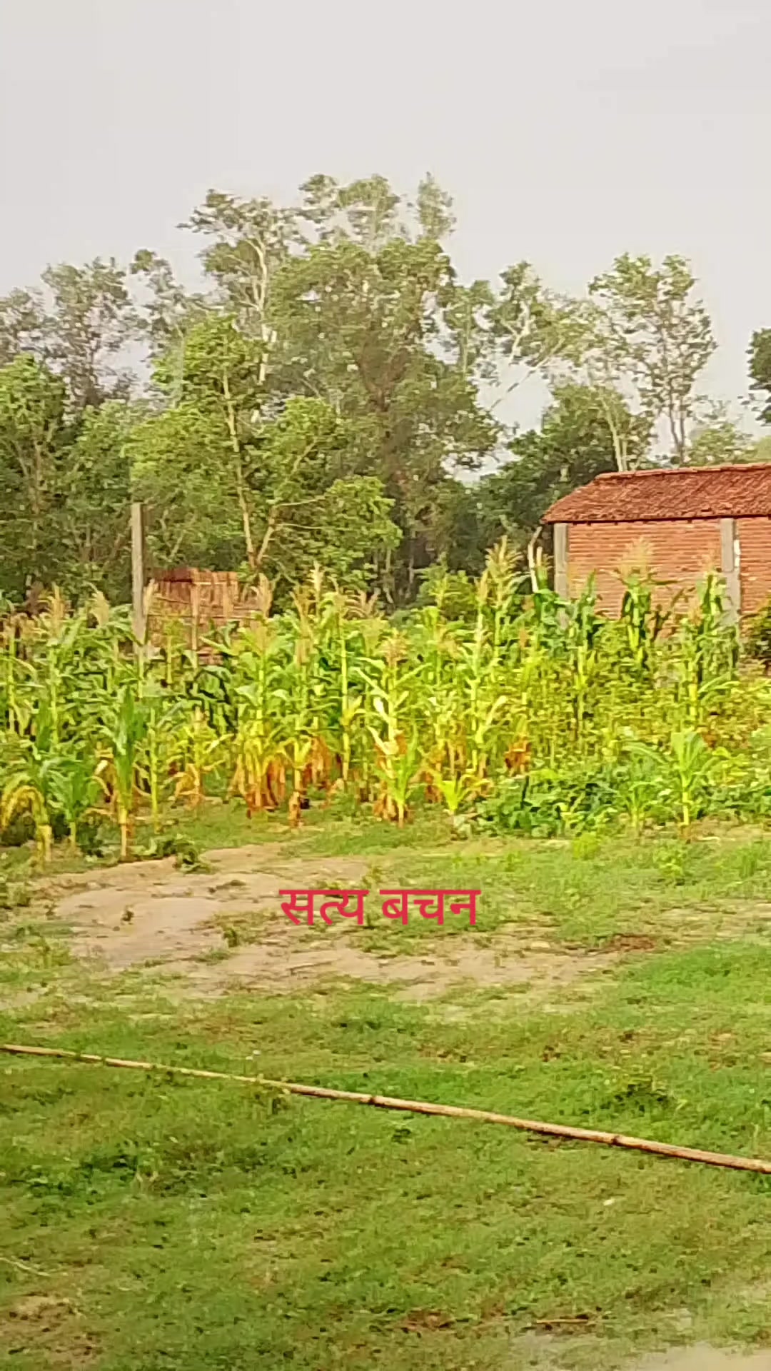 @फुलगेन यादव