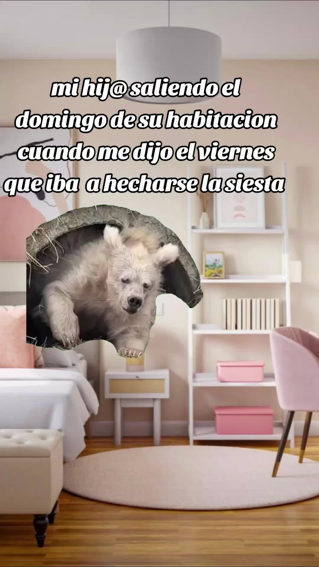 @🏹🐬🥴🚽toxico_de_Nesquik