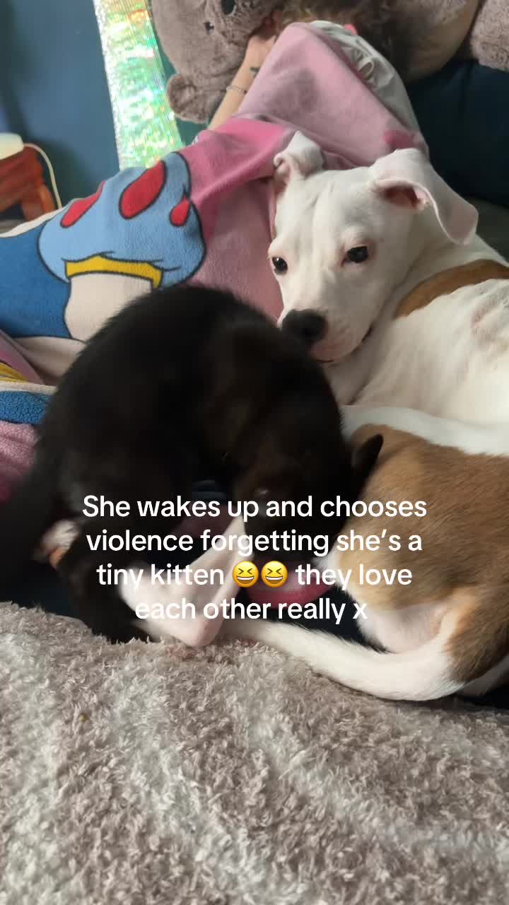 @Inkedmum